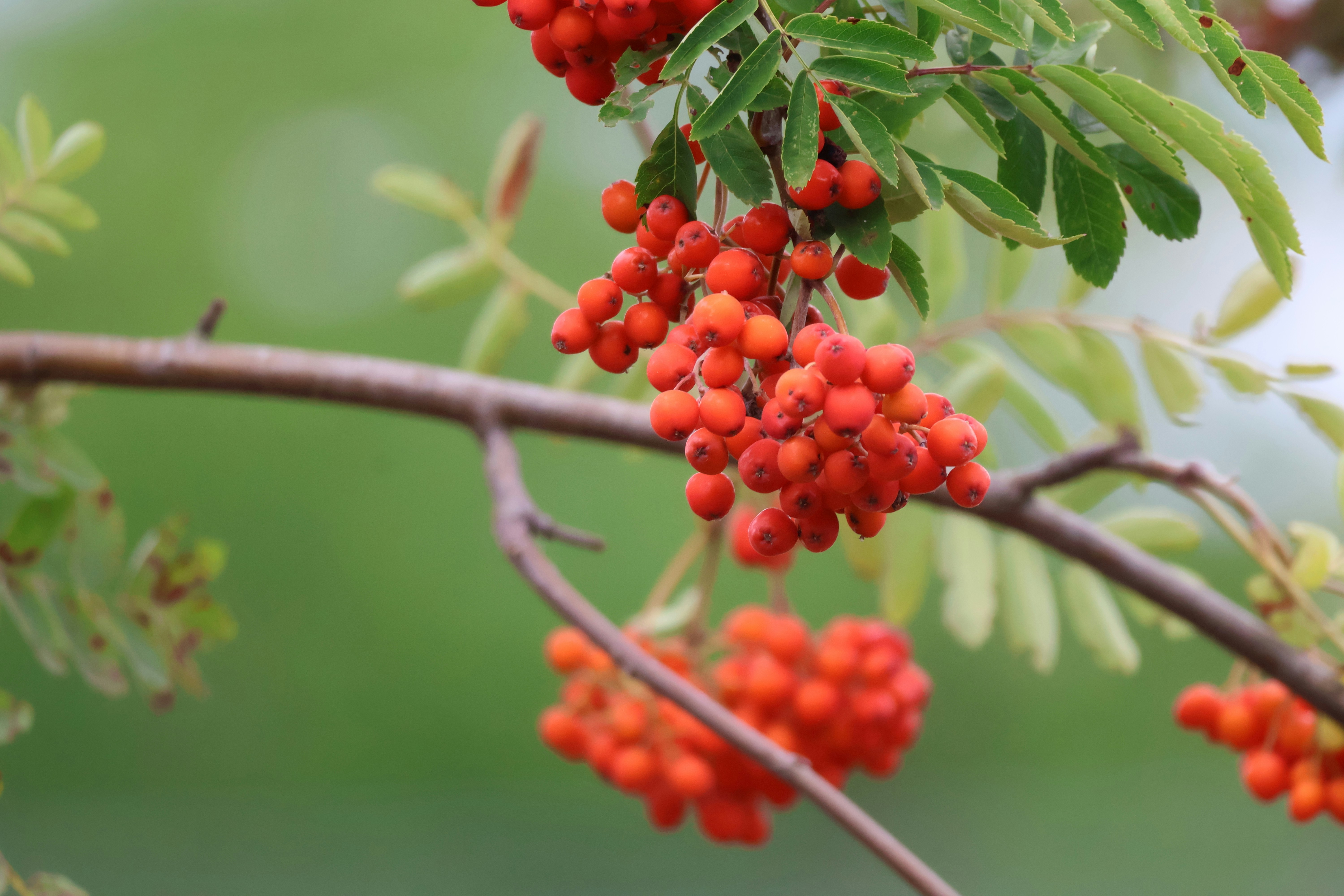 Photo by shooter__andy