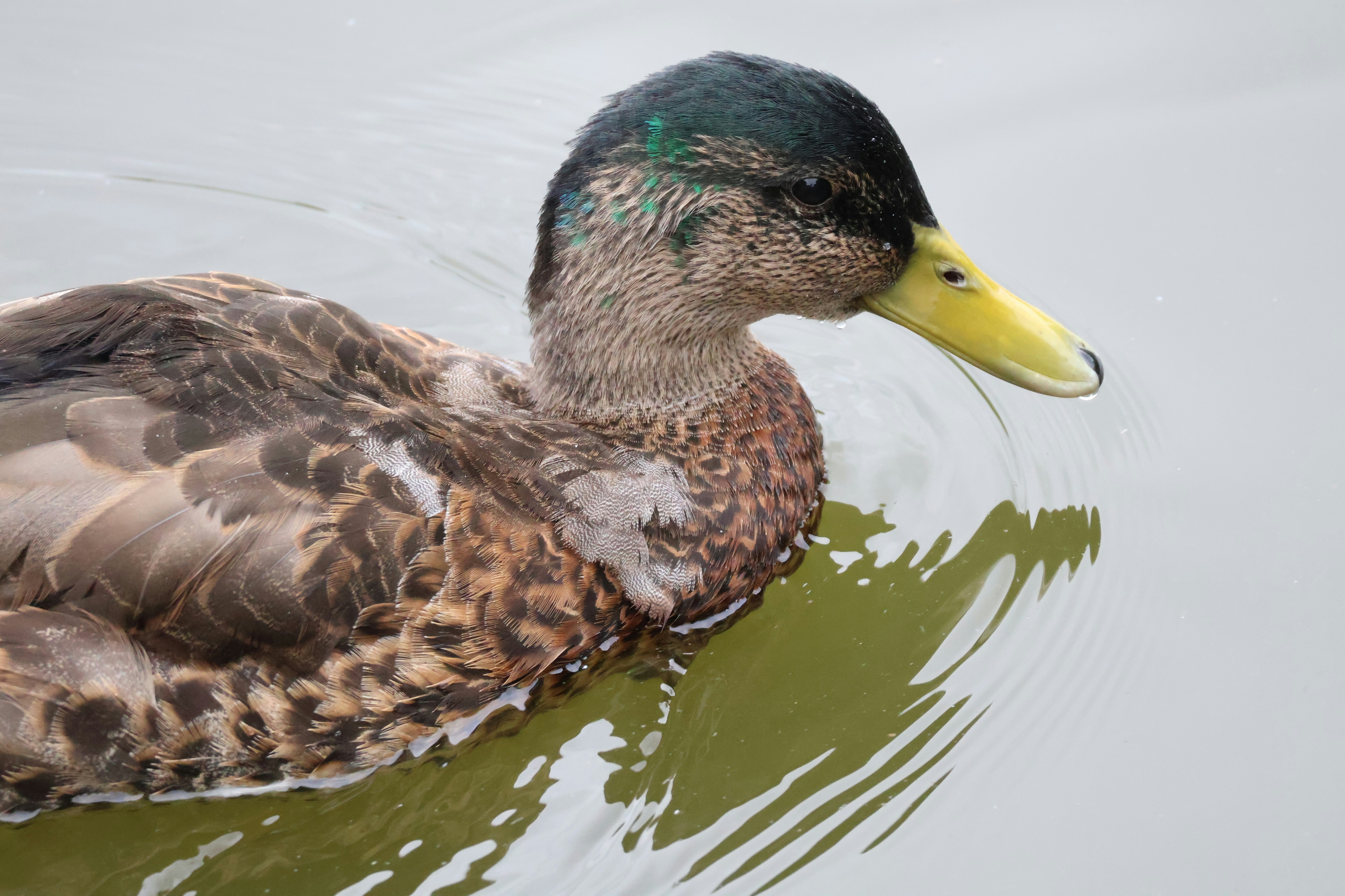 Photo by shooter__andy