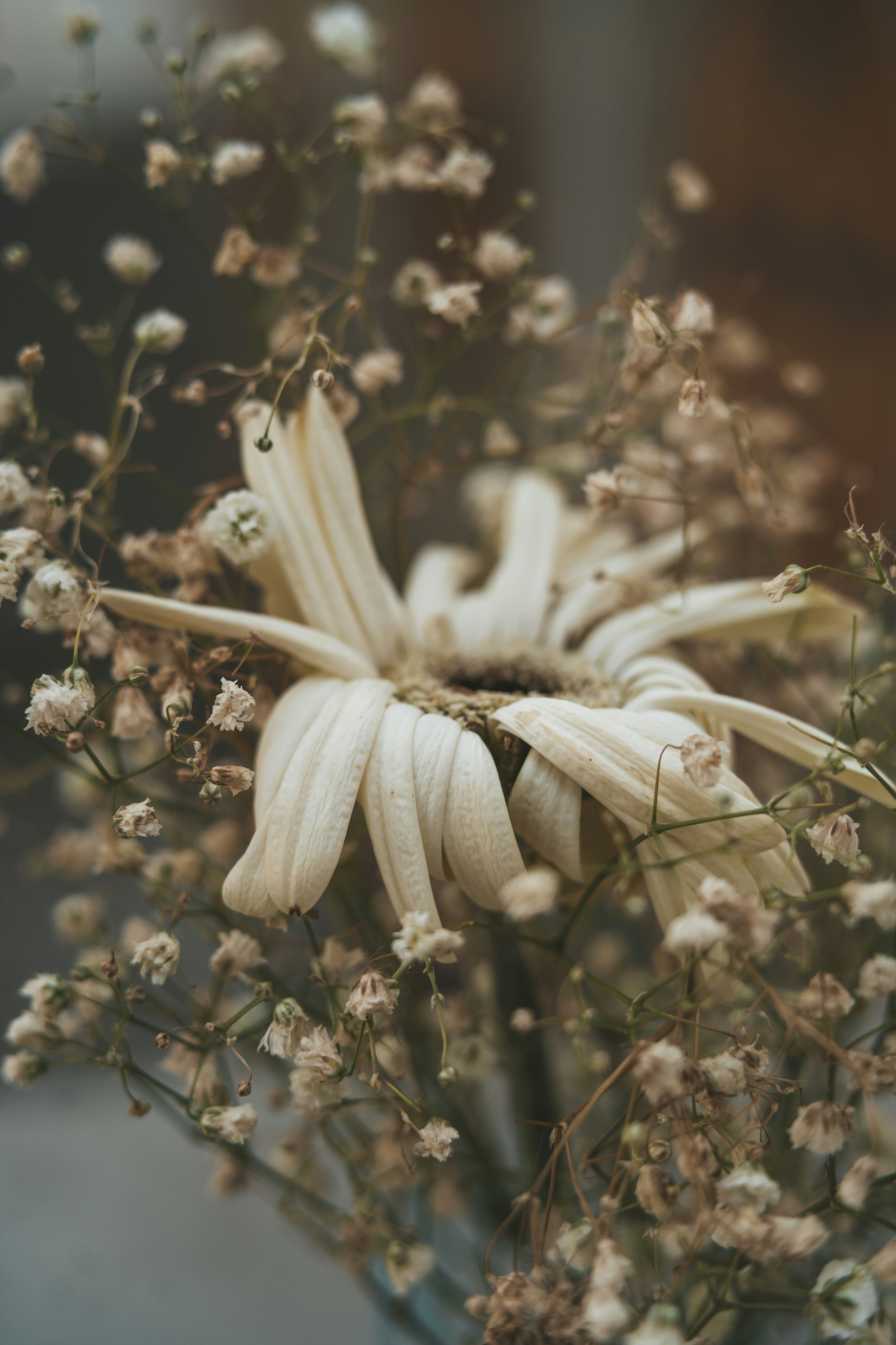 Photo by anamnesis33