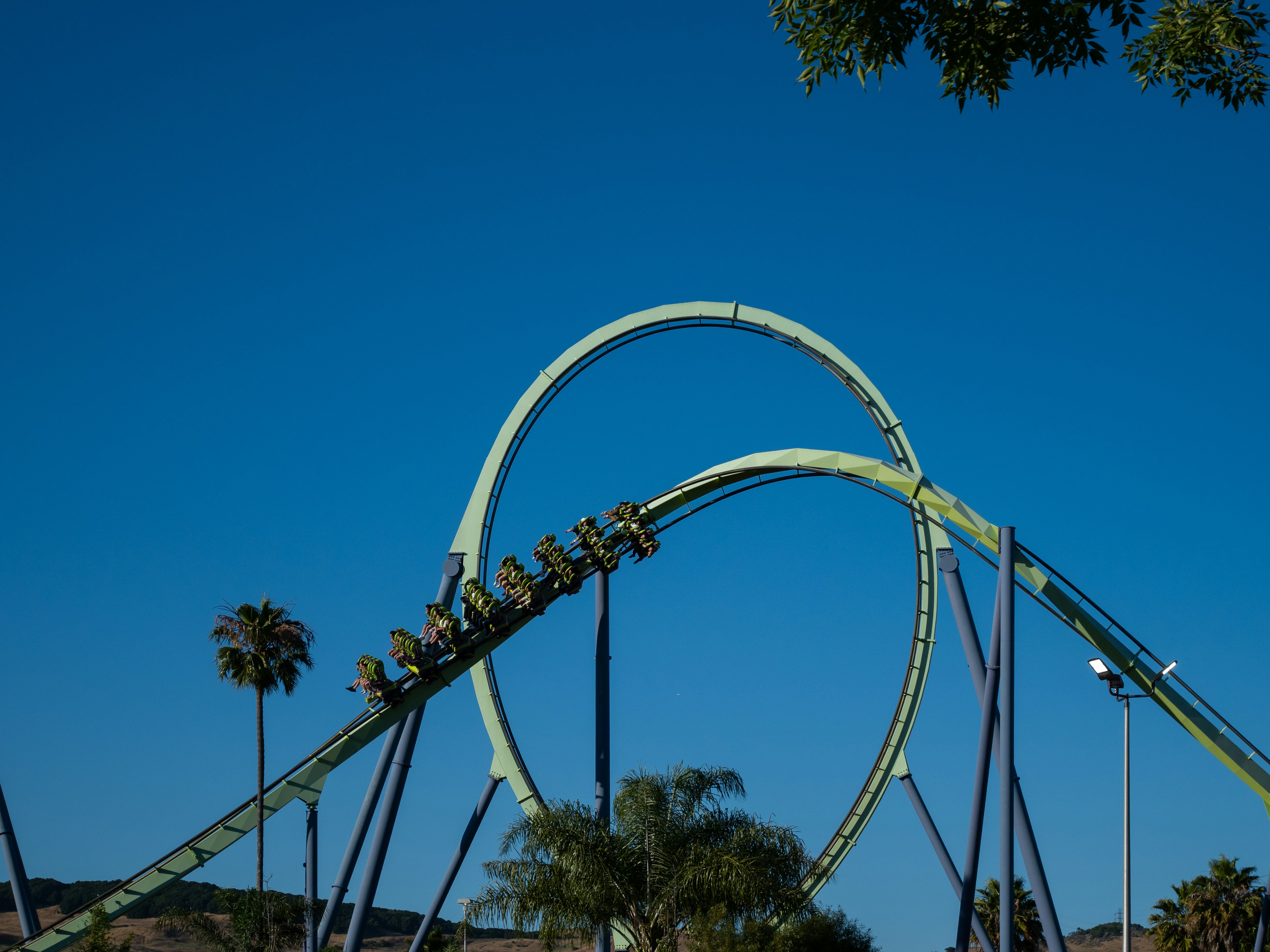 A roller coaster in the middle of a park, 