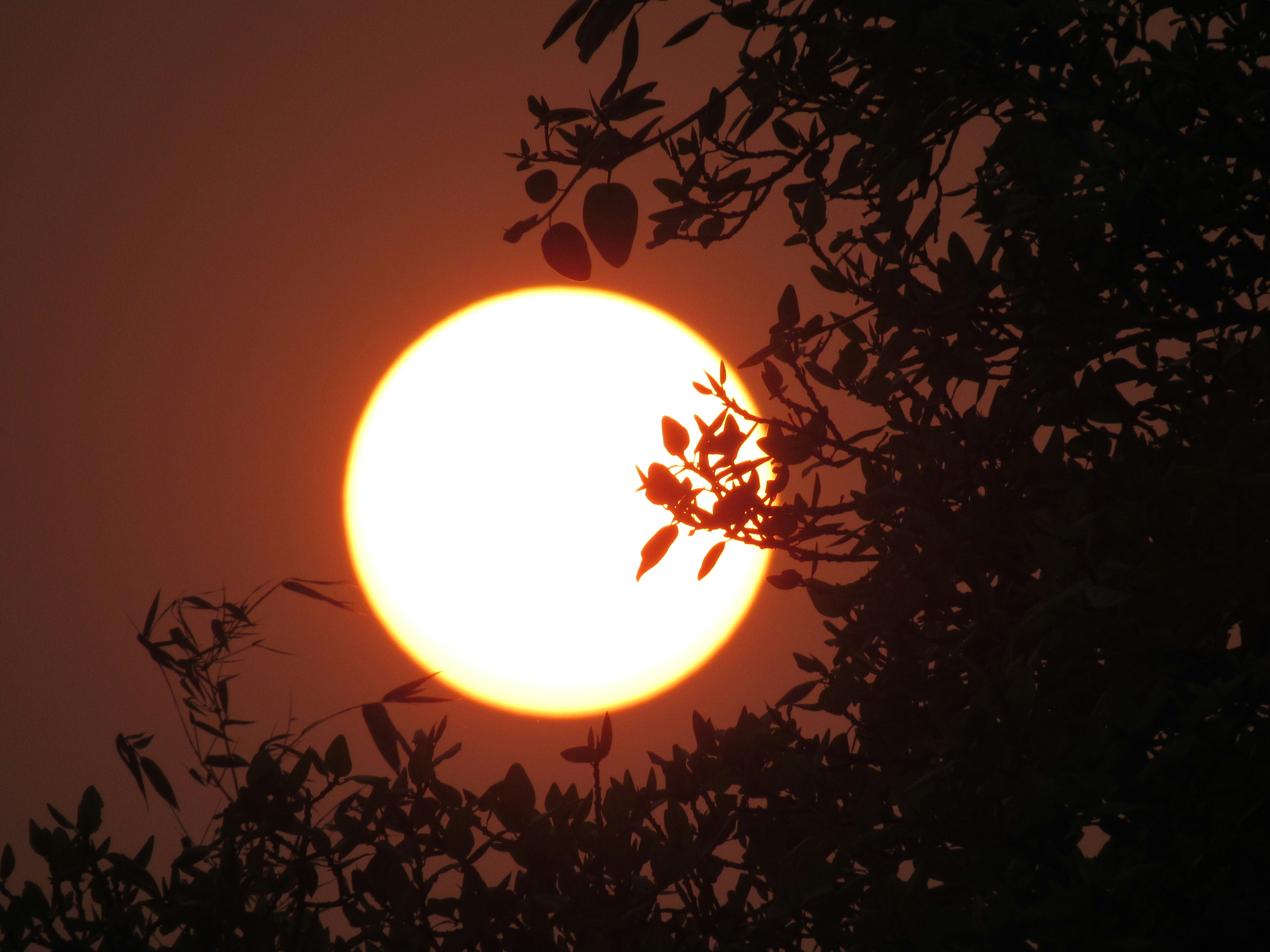 Photo by almahmudurrahmanfahim