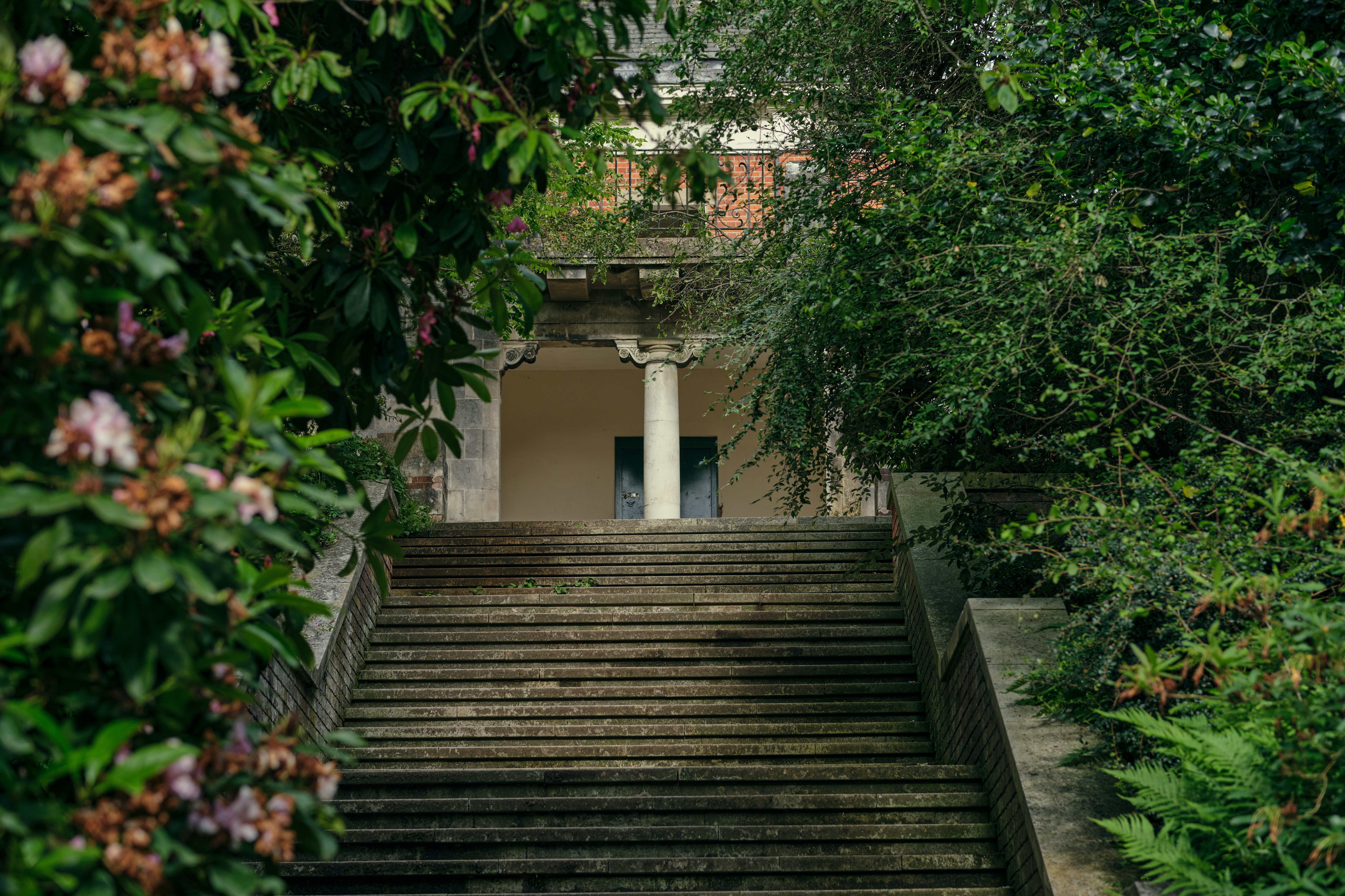 Photo by romanakash27