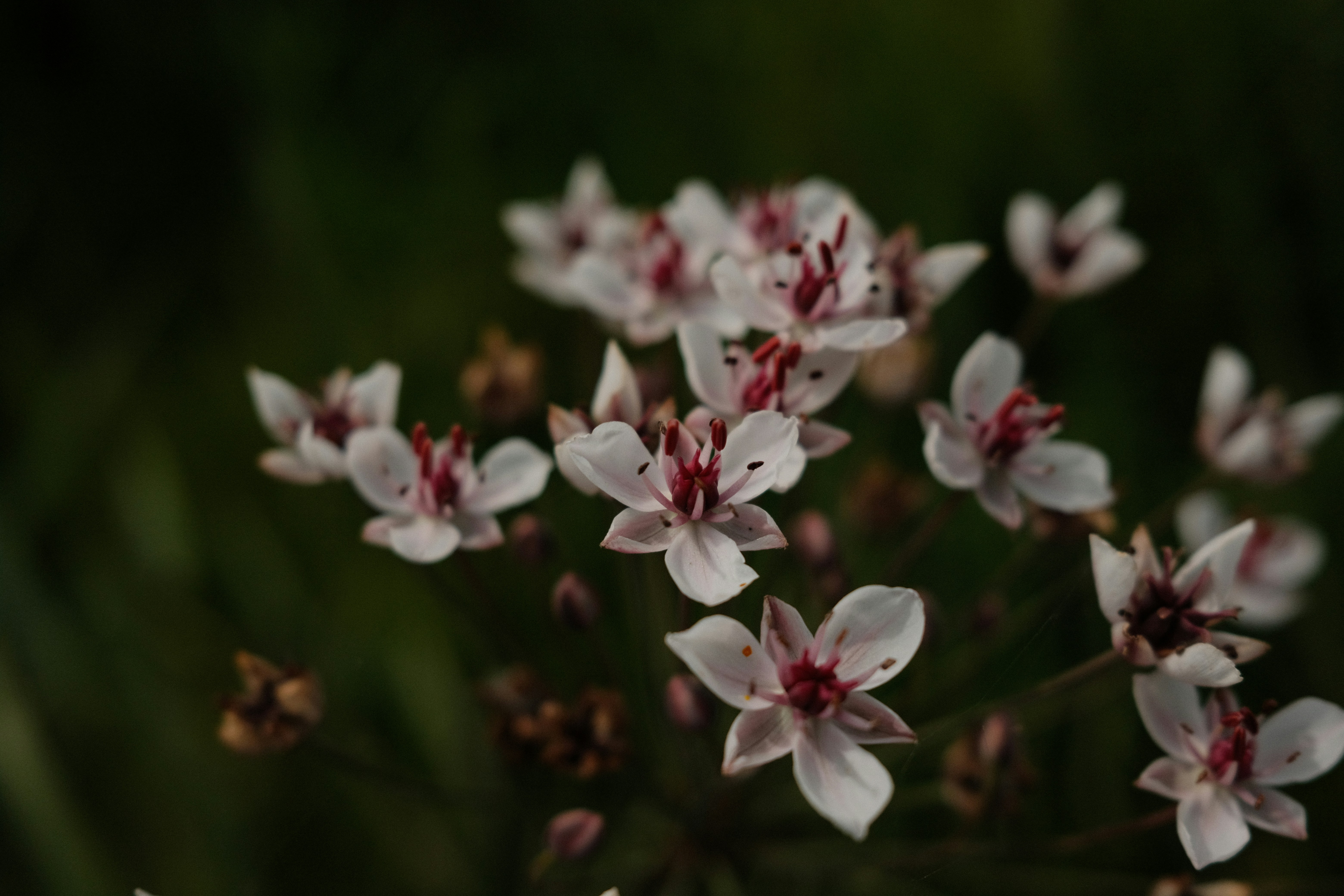 Photo by yuliya_grch