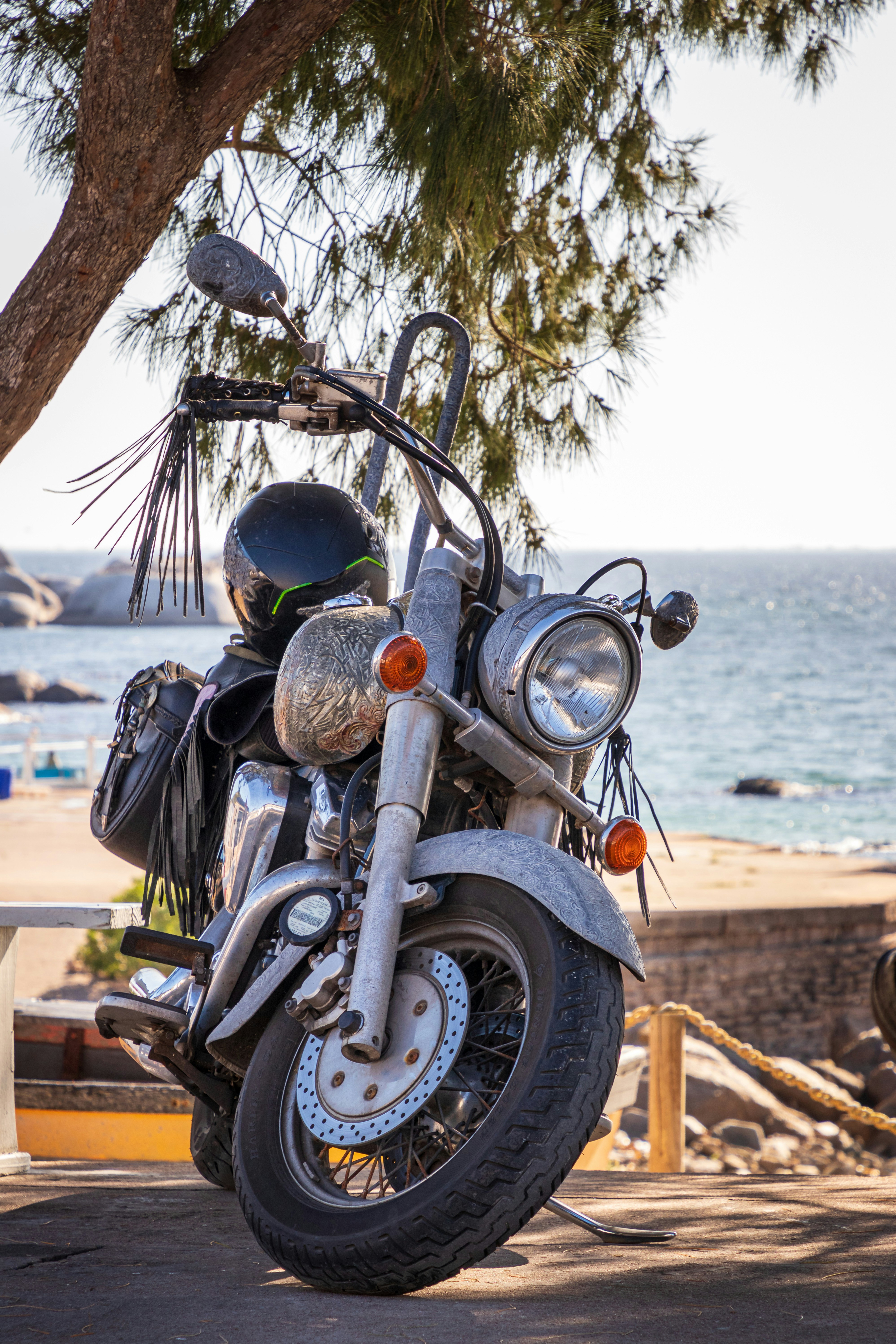 A motorcycle parked next to a tree near the ocean photo – Free Grey ...