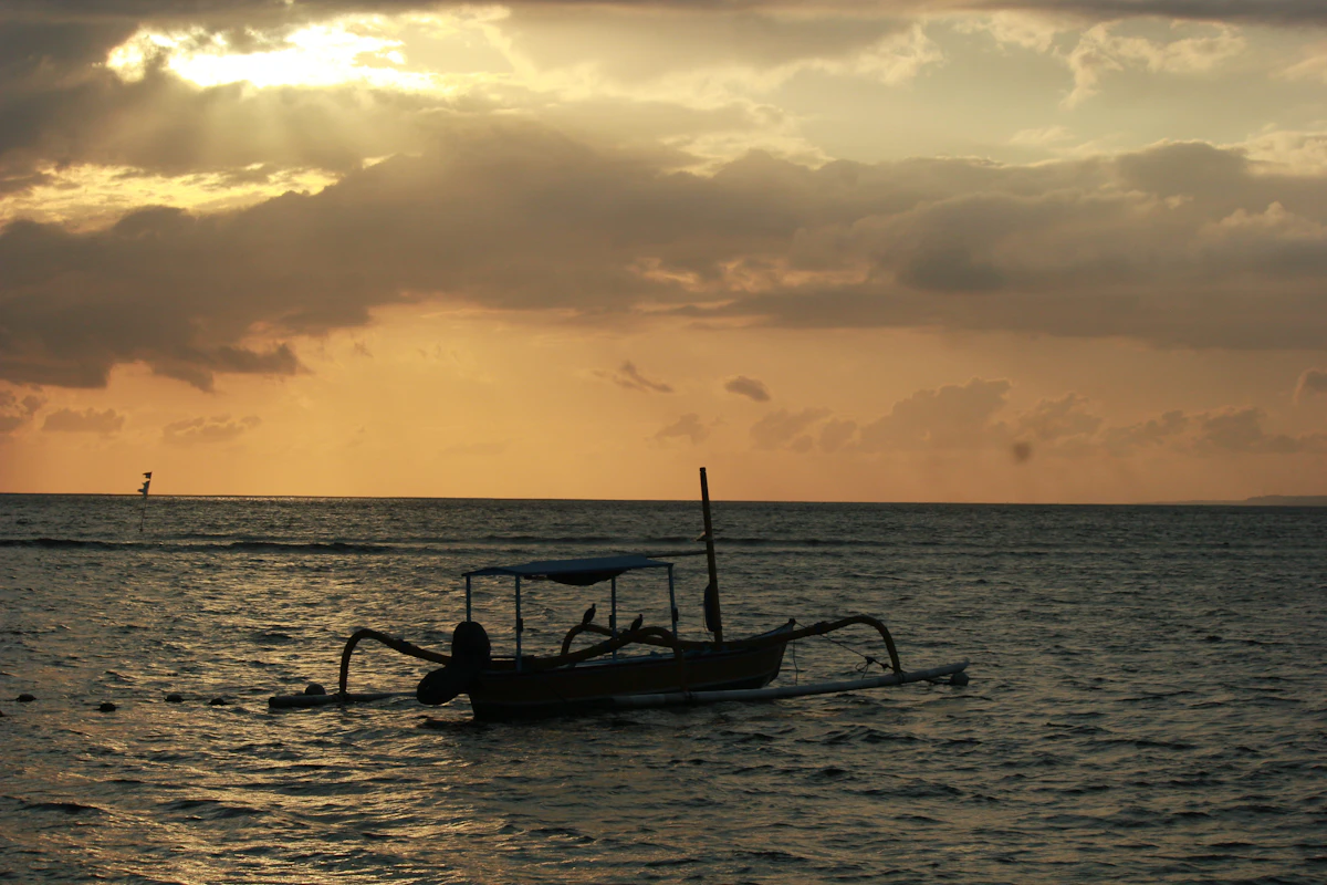 Lovina Eco-Friendly Sunrise Dolphin Encounter & Coral Reef Snorkel