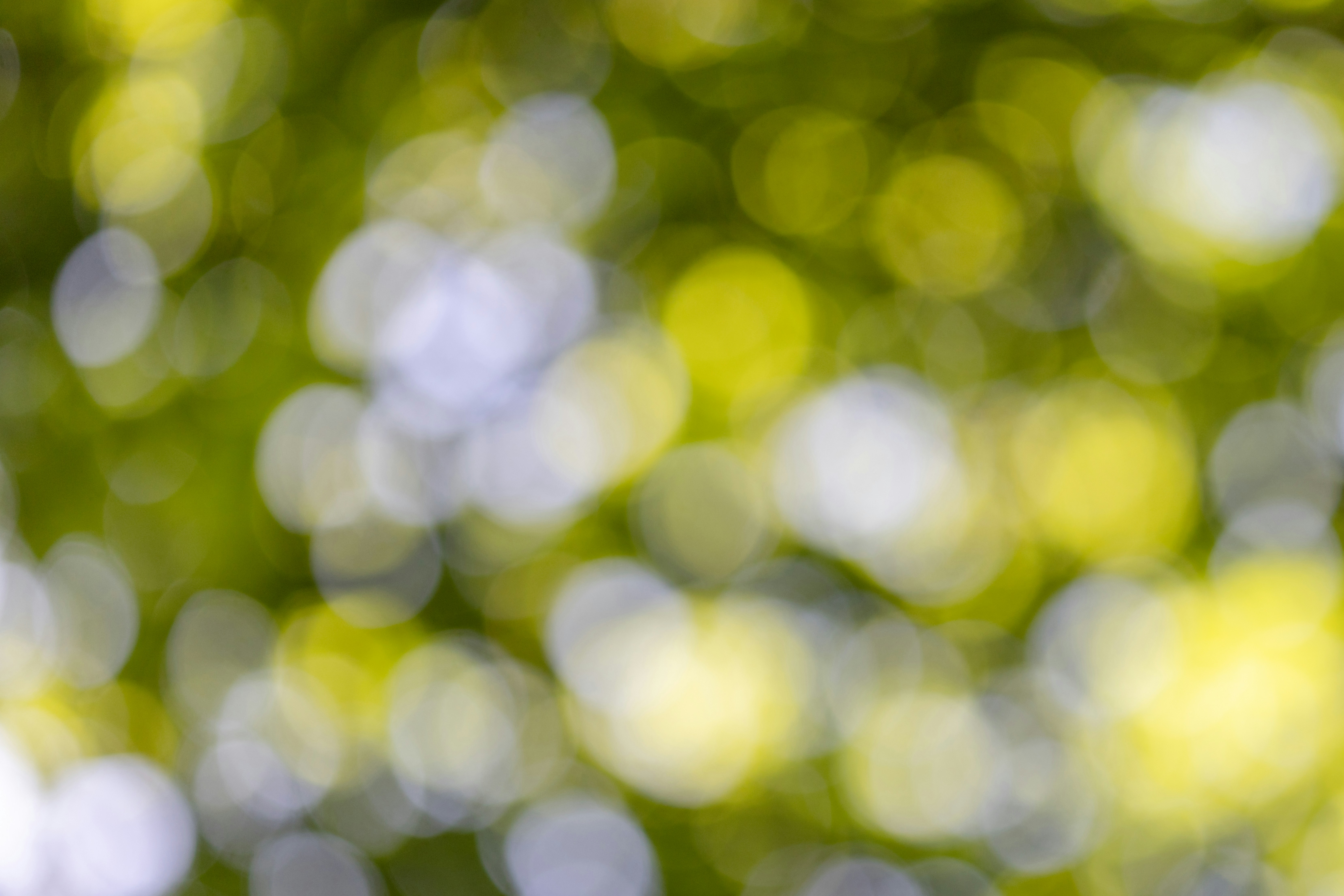 Photo by nataliekinnear