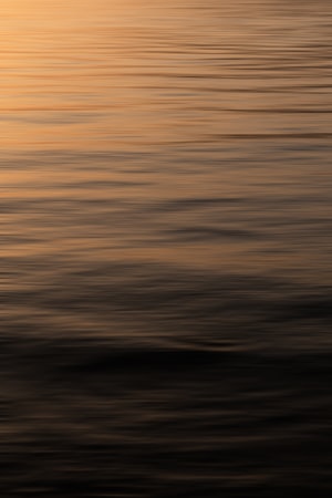 Photo by Dejan Zakic on Unsplash