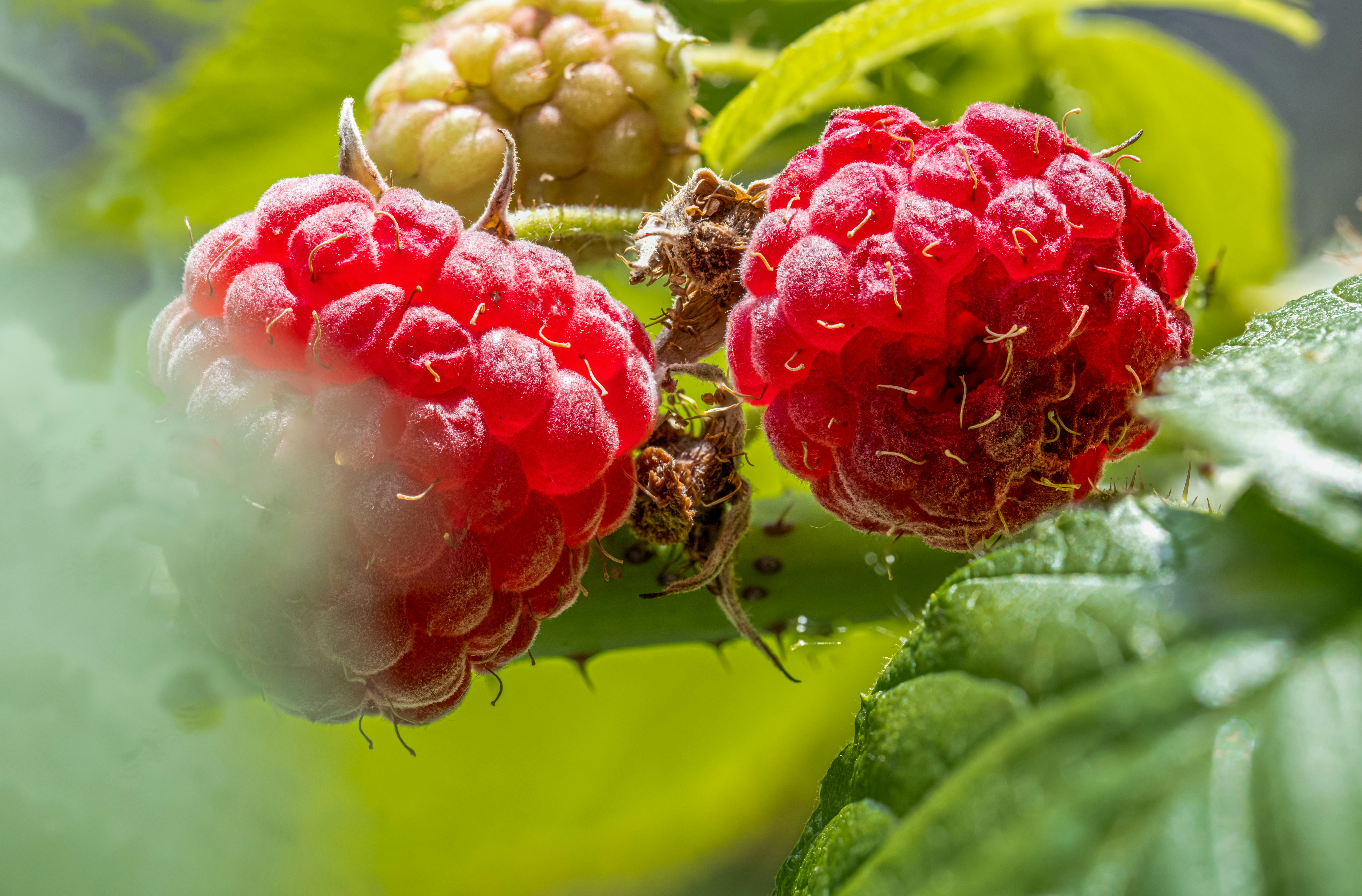 Photo by alexandredaoust