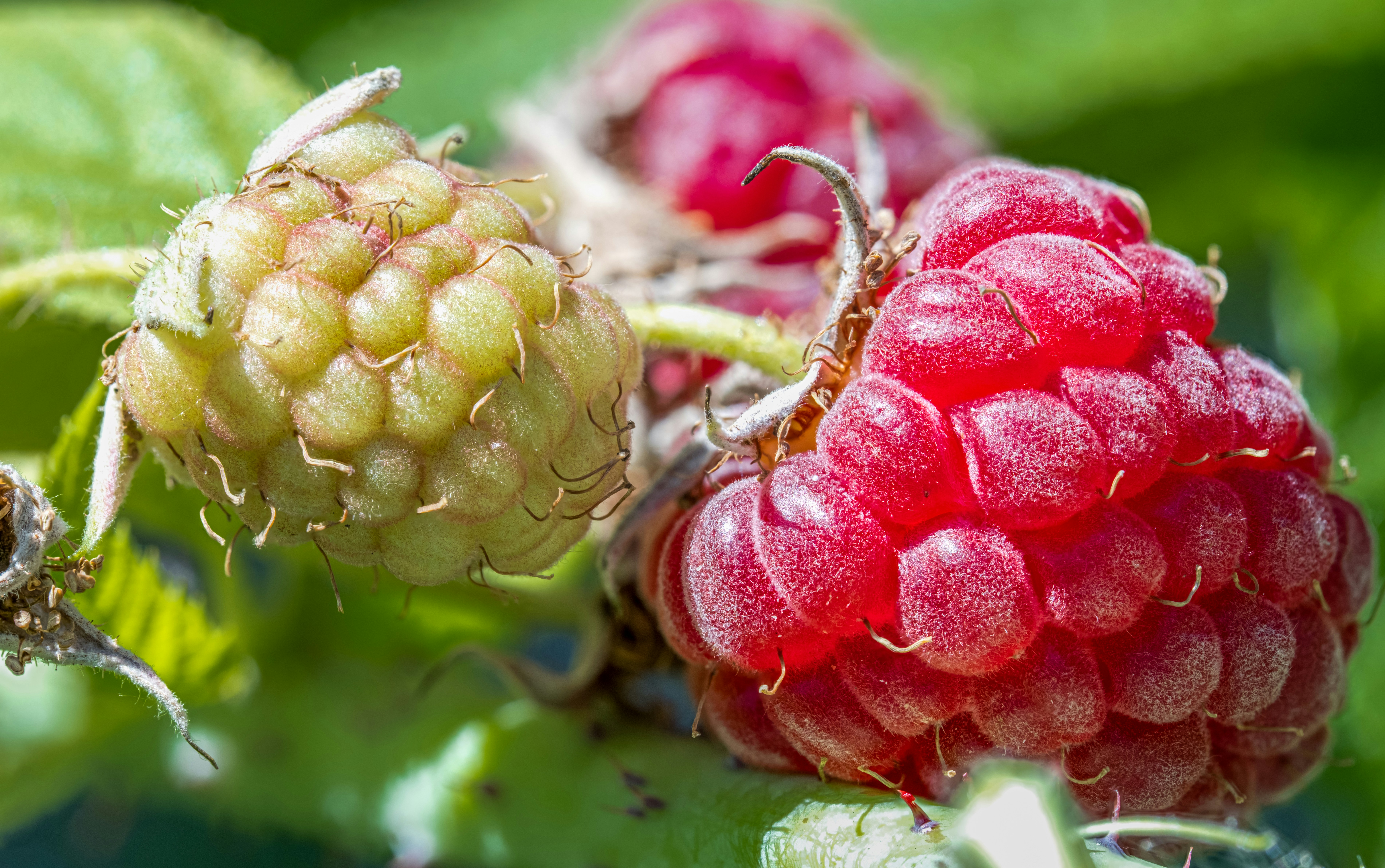 Photo by alexandredaoust