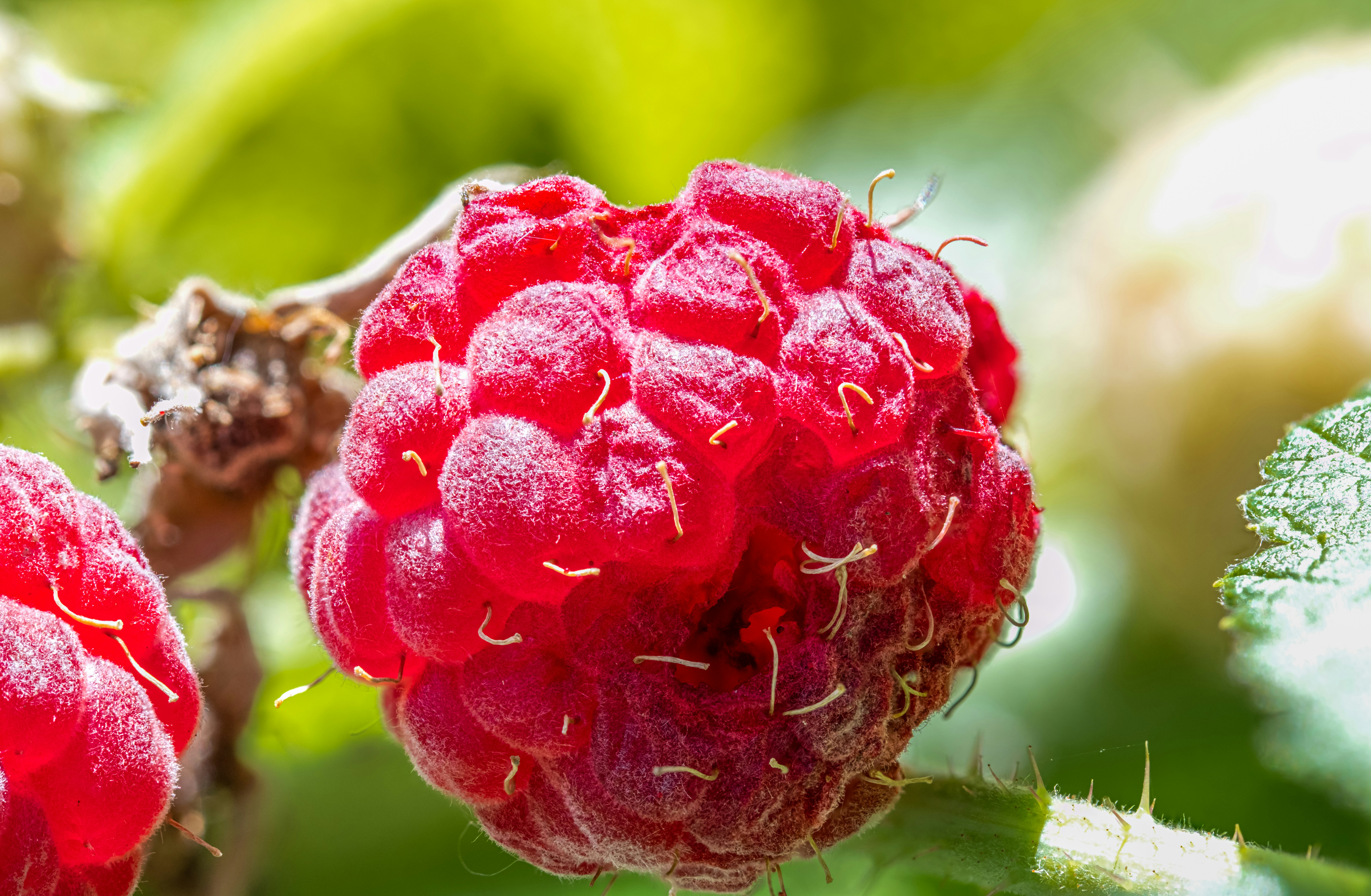 Photo by alexandredaoust