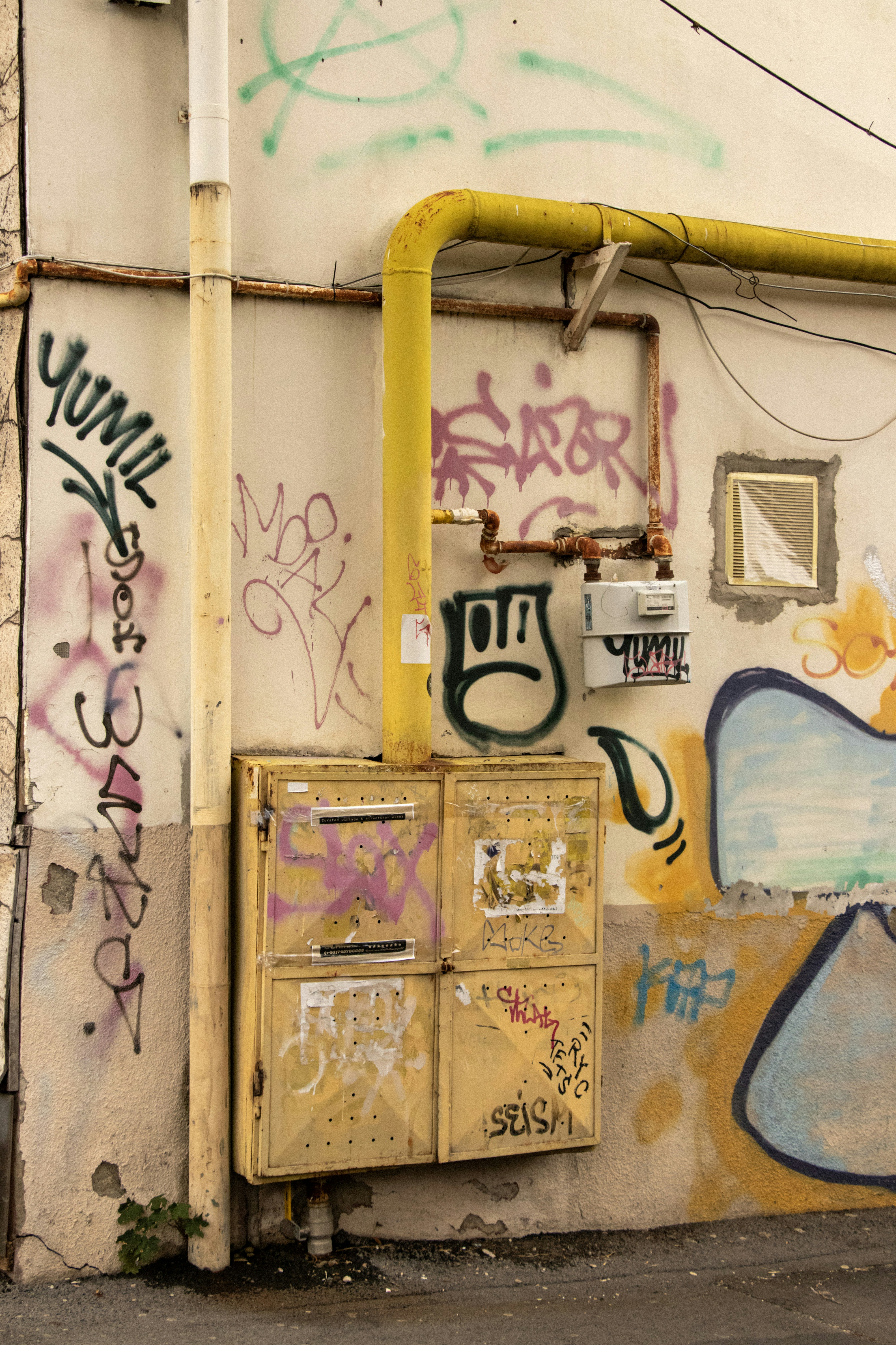 Community Spotlight: Postal Creators to Watch on Slimer.live and Beyond