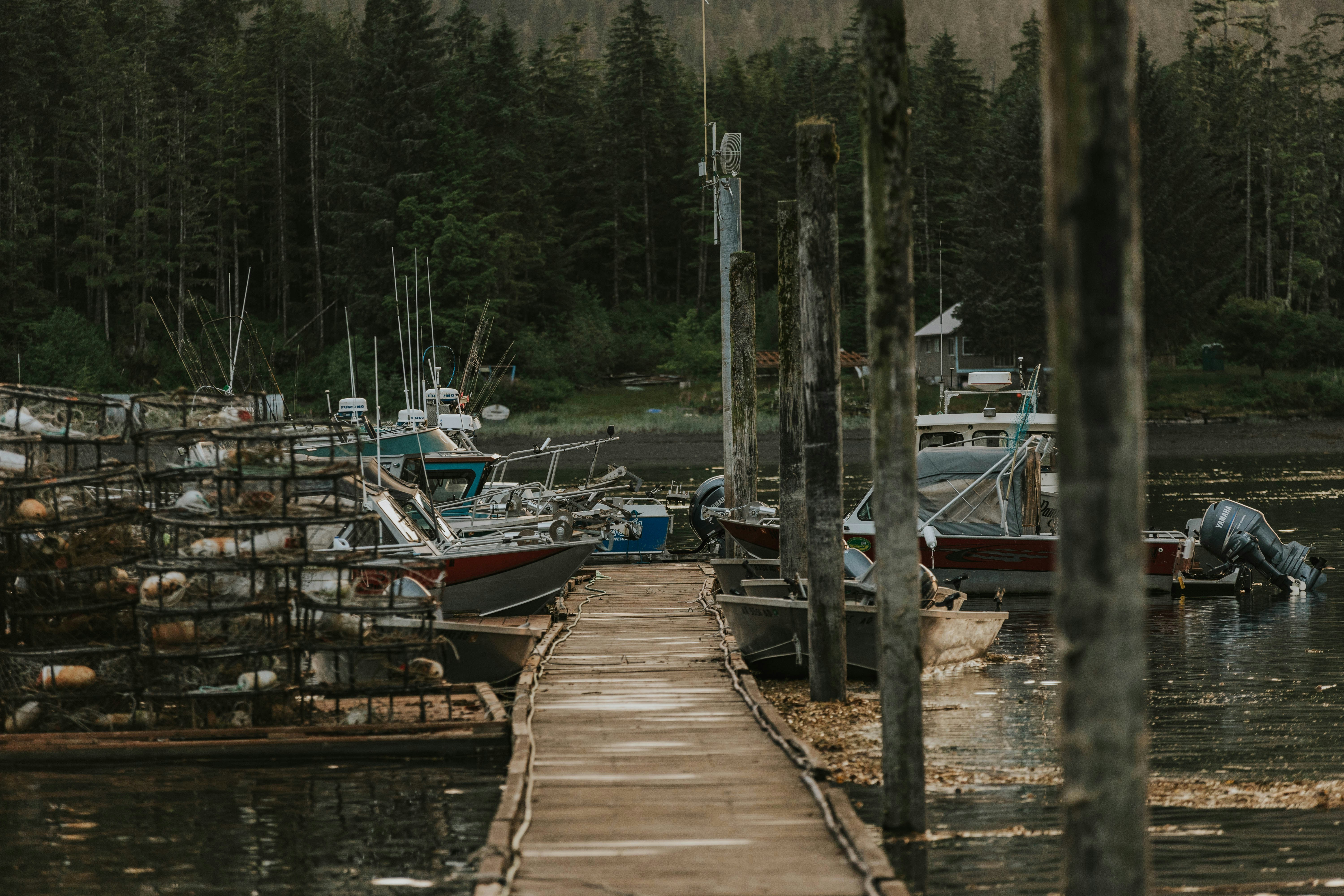 A dock with several boats in the water