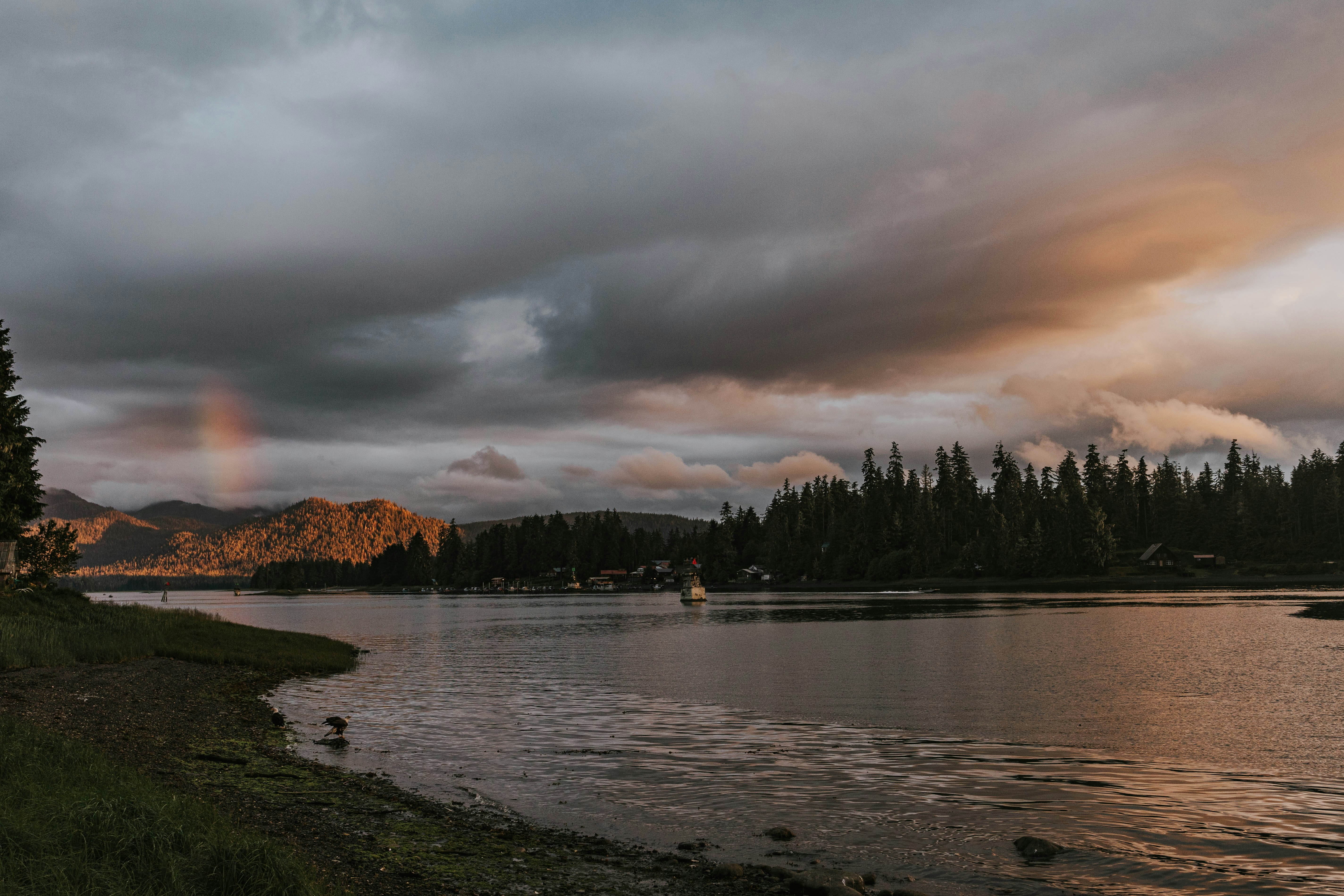 A body of water surrounded by a forest, Alaska Sunset in Petersburg, Alaska