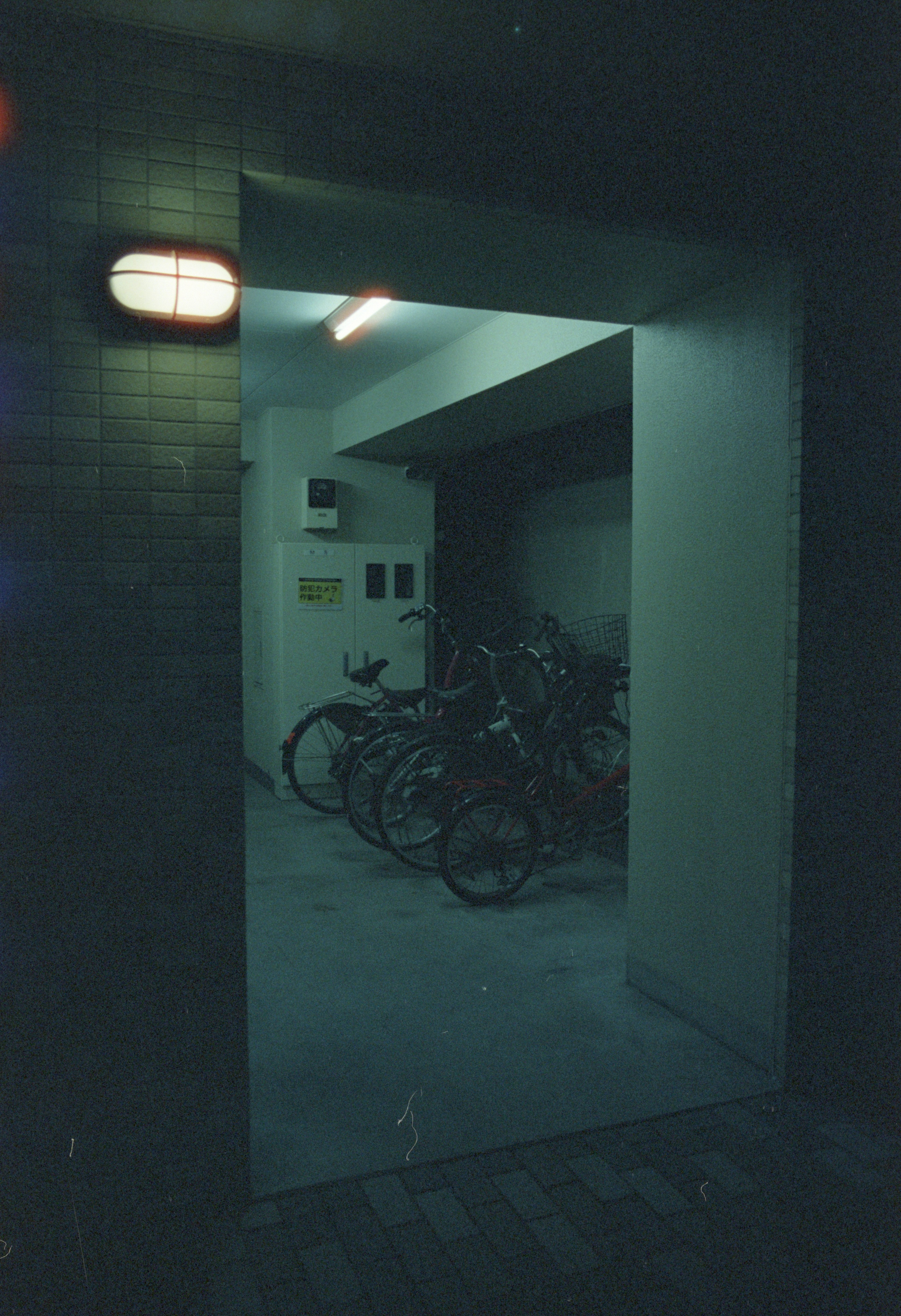 Photo by cloudsarejoy