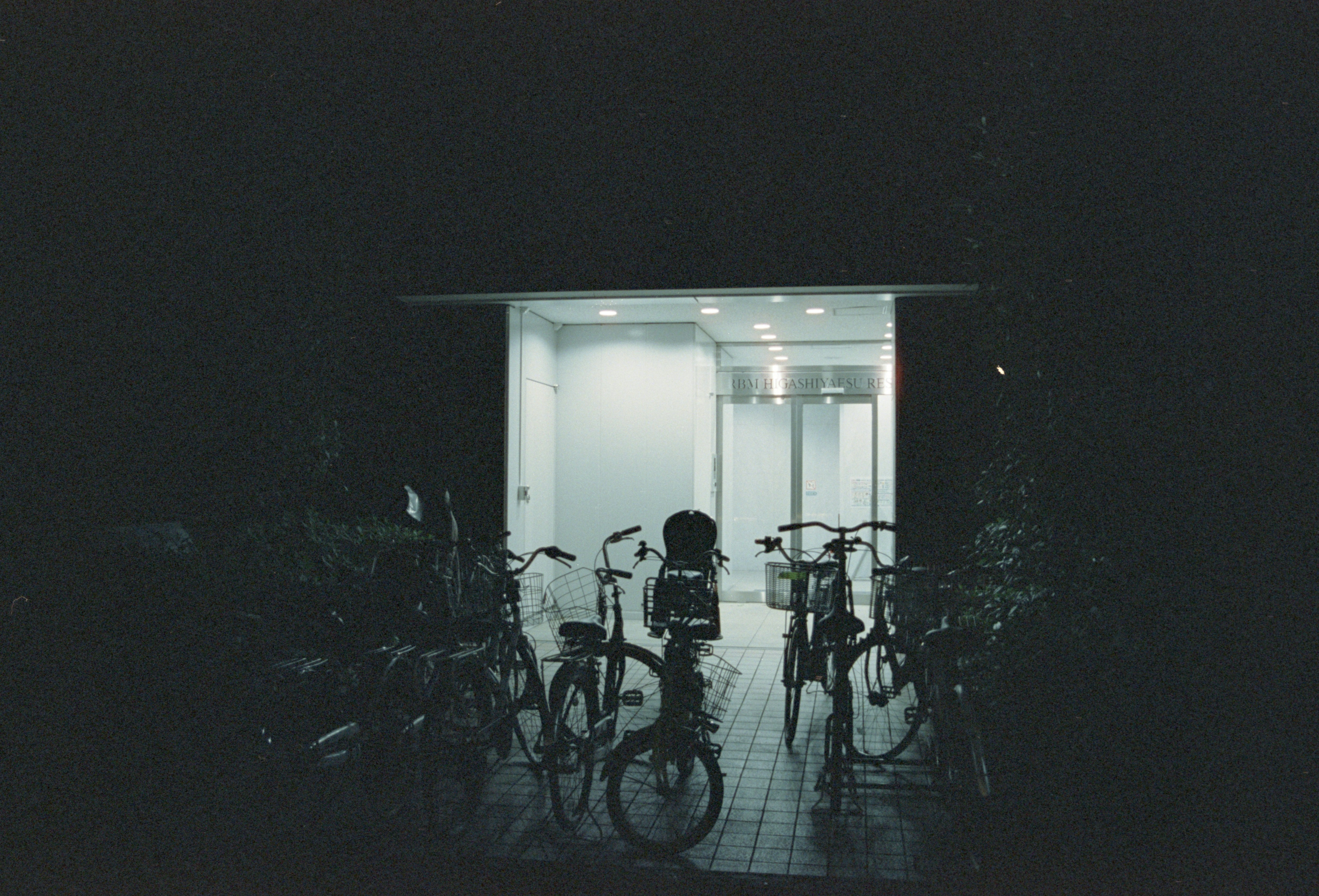 Photo by cloudsarejoy