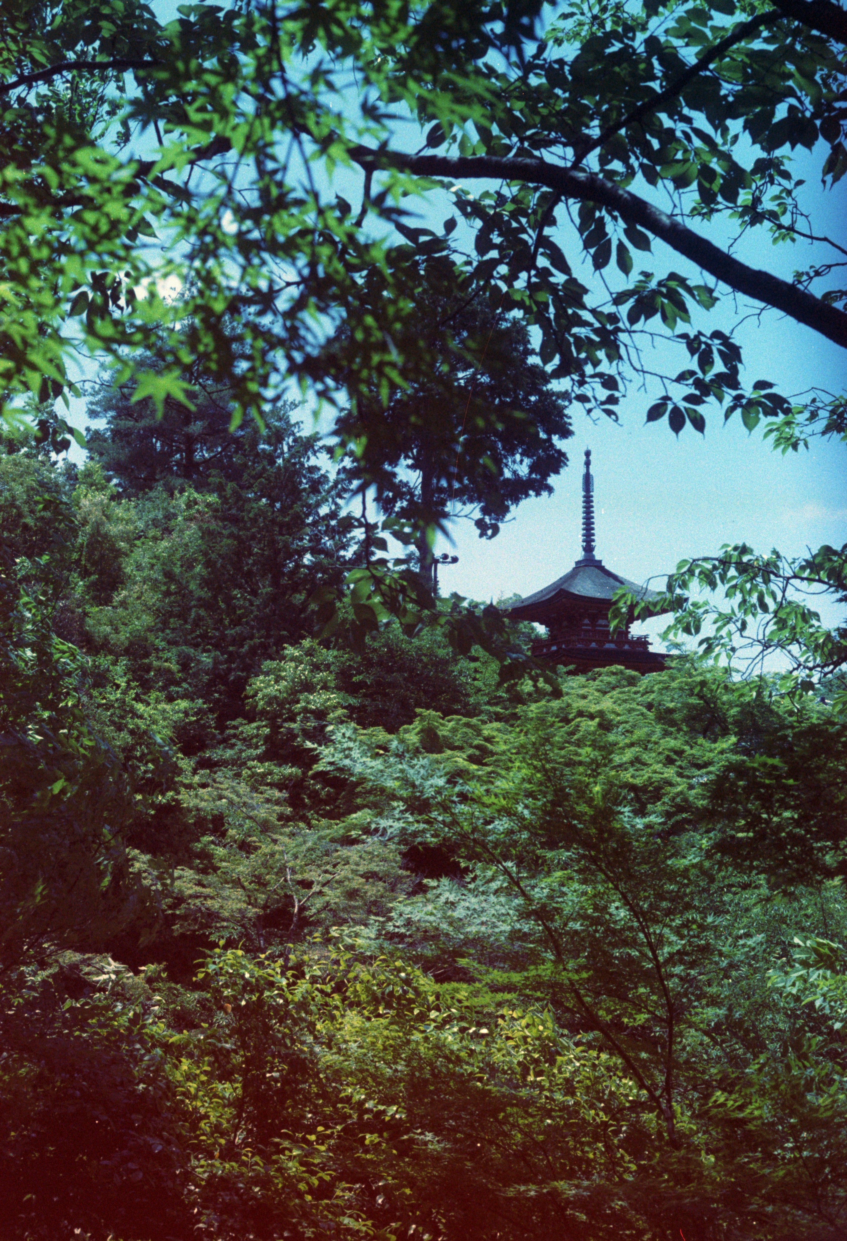 Photo by cloudsarejoy