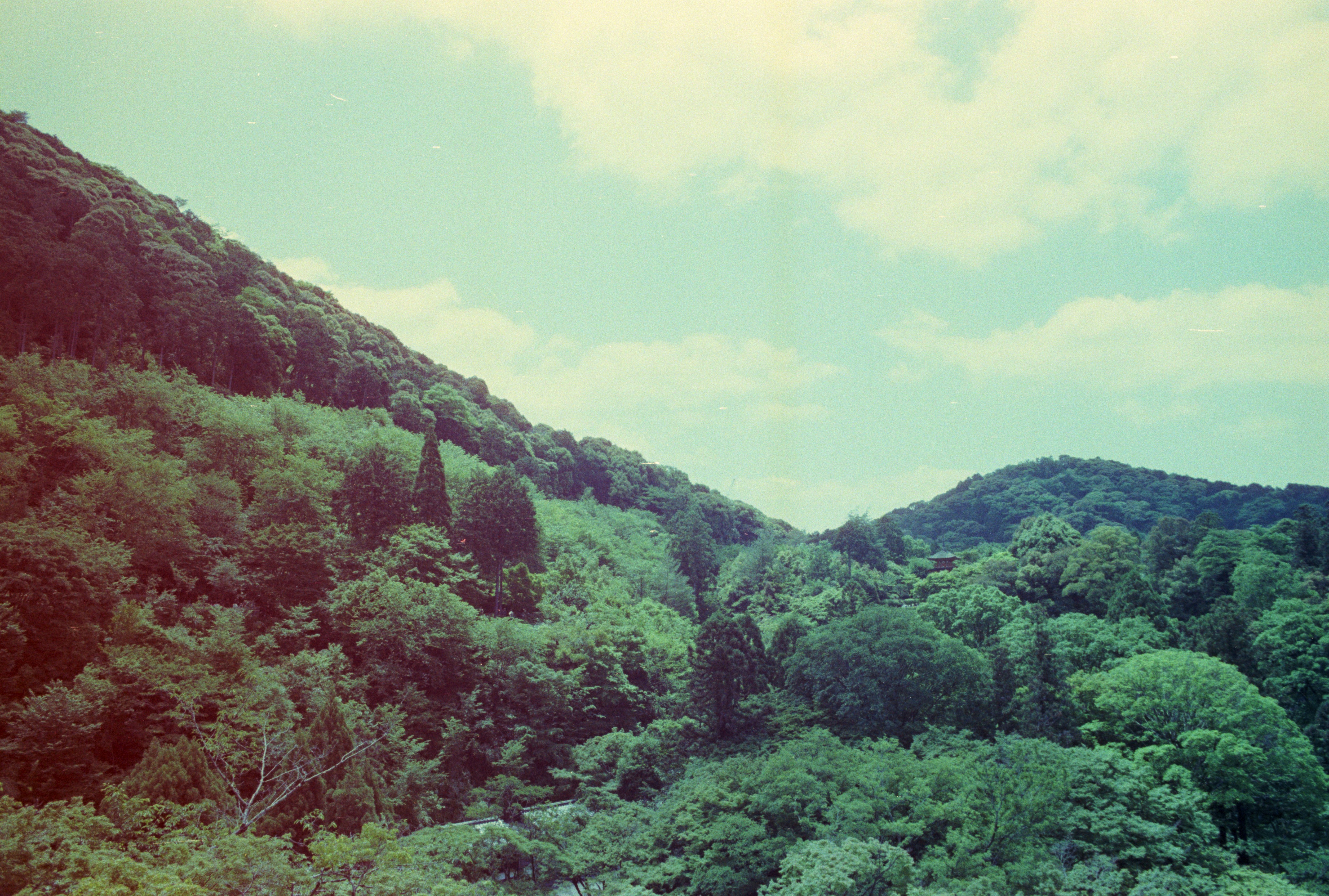 Photo by cloudsarejoy