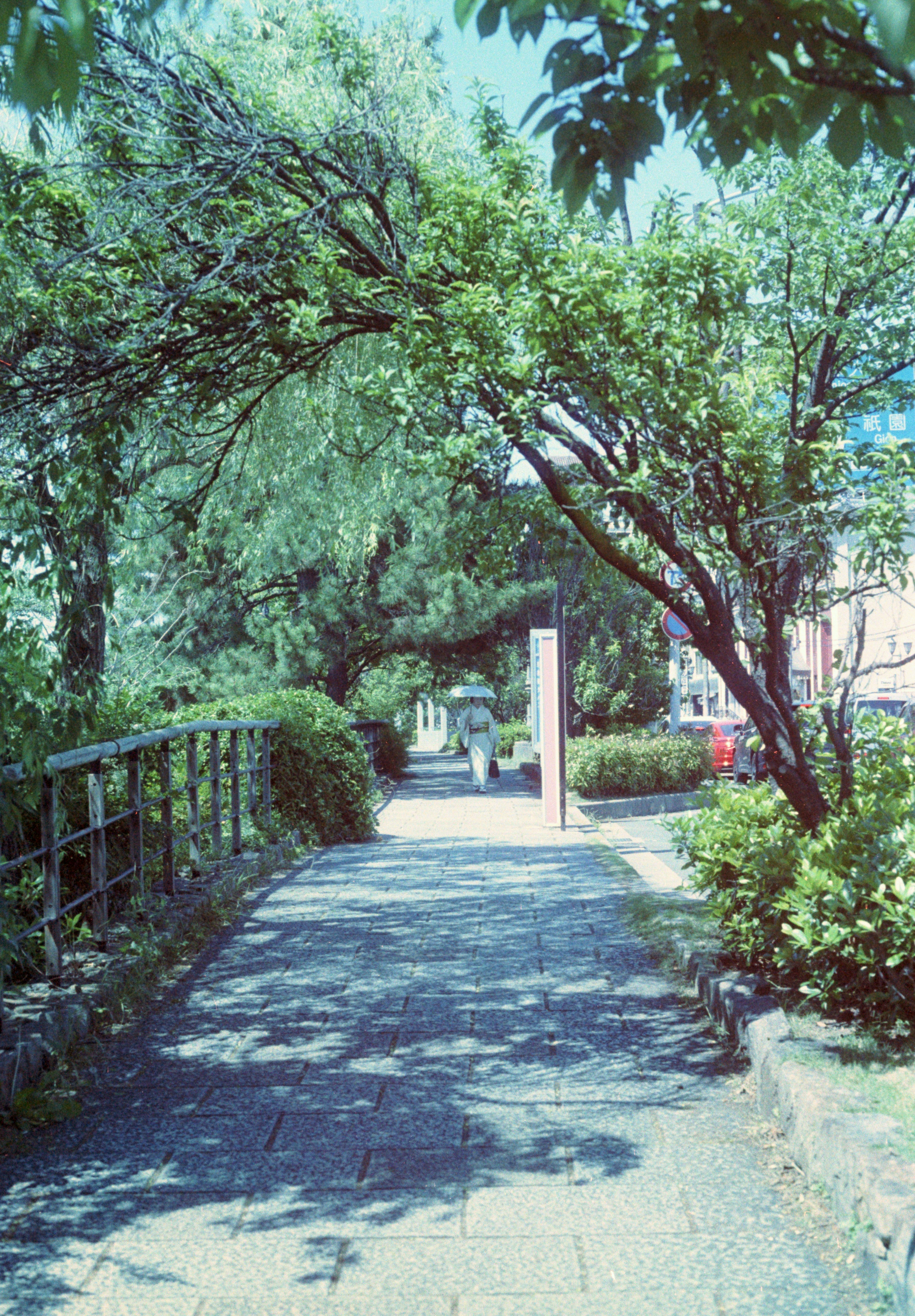 Photo by cloudsarejoy