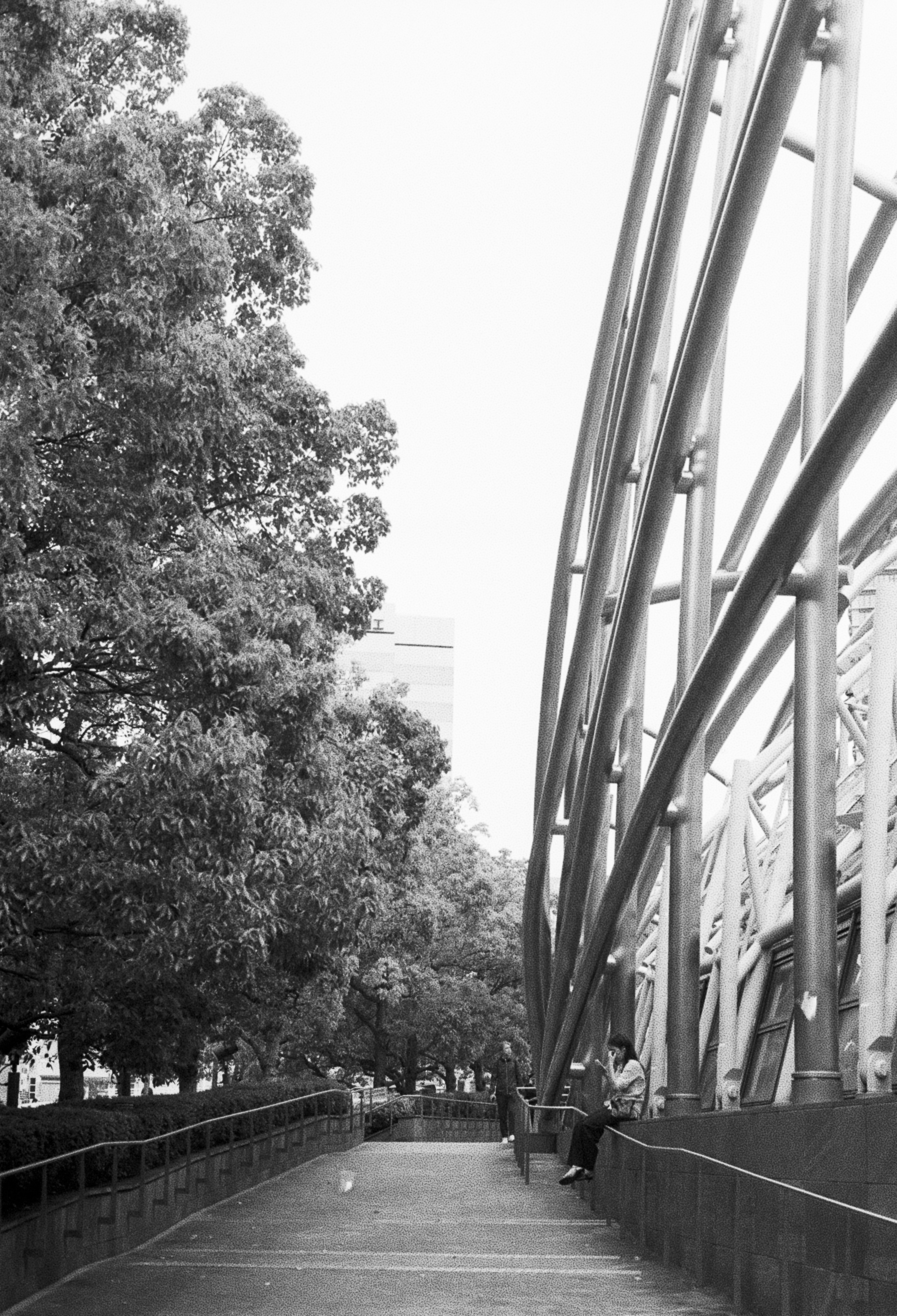 Photo by cloudsarejoy