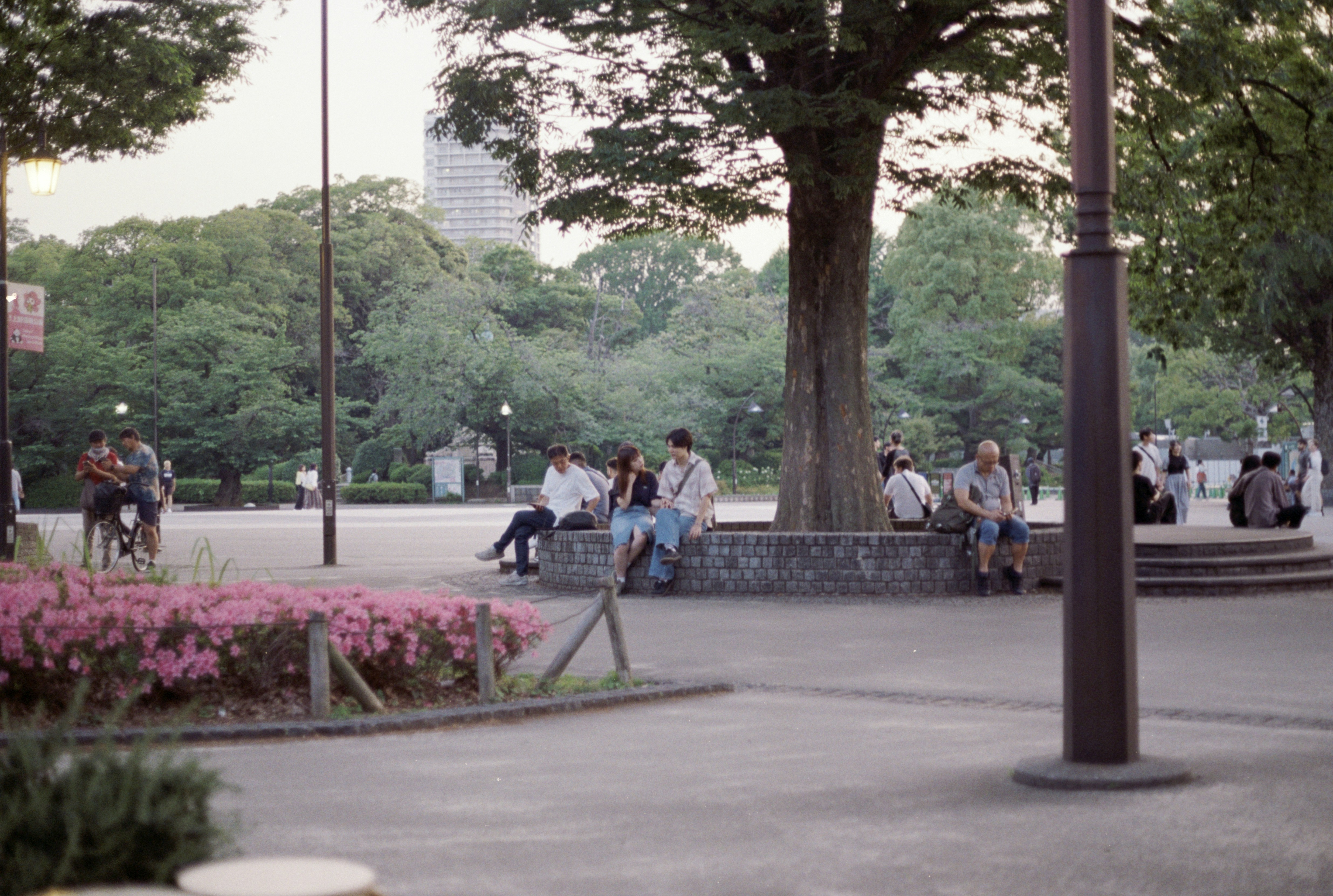Photo by cloudsarejoy
