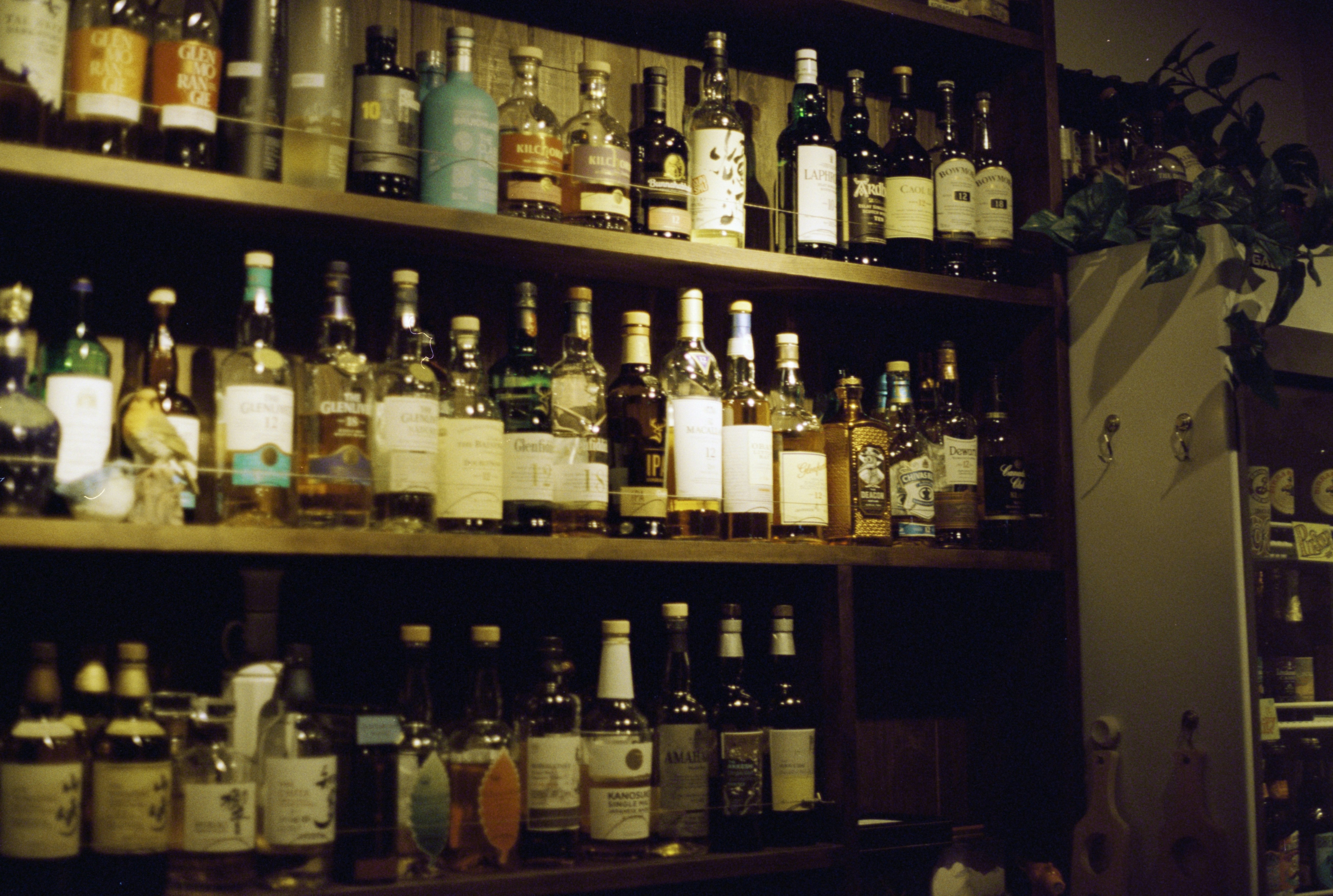 Photo by cloudsarejoy