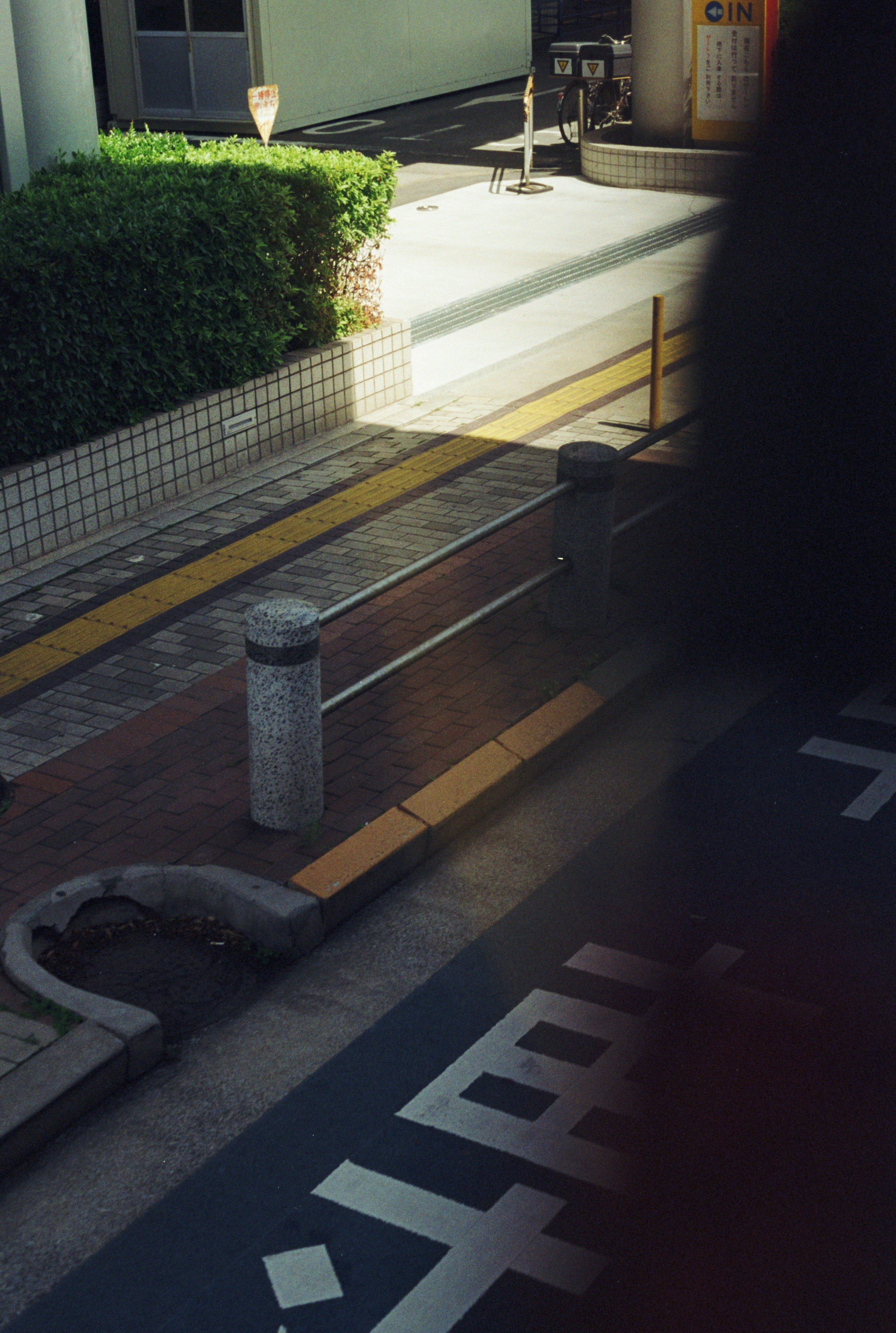 Photo by cloudsarejoy