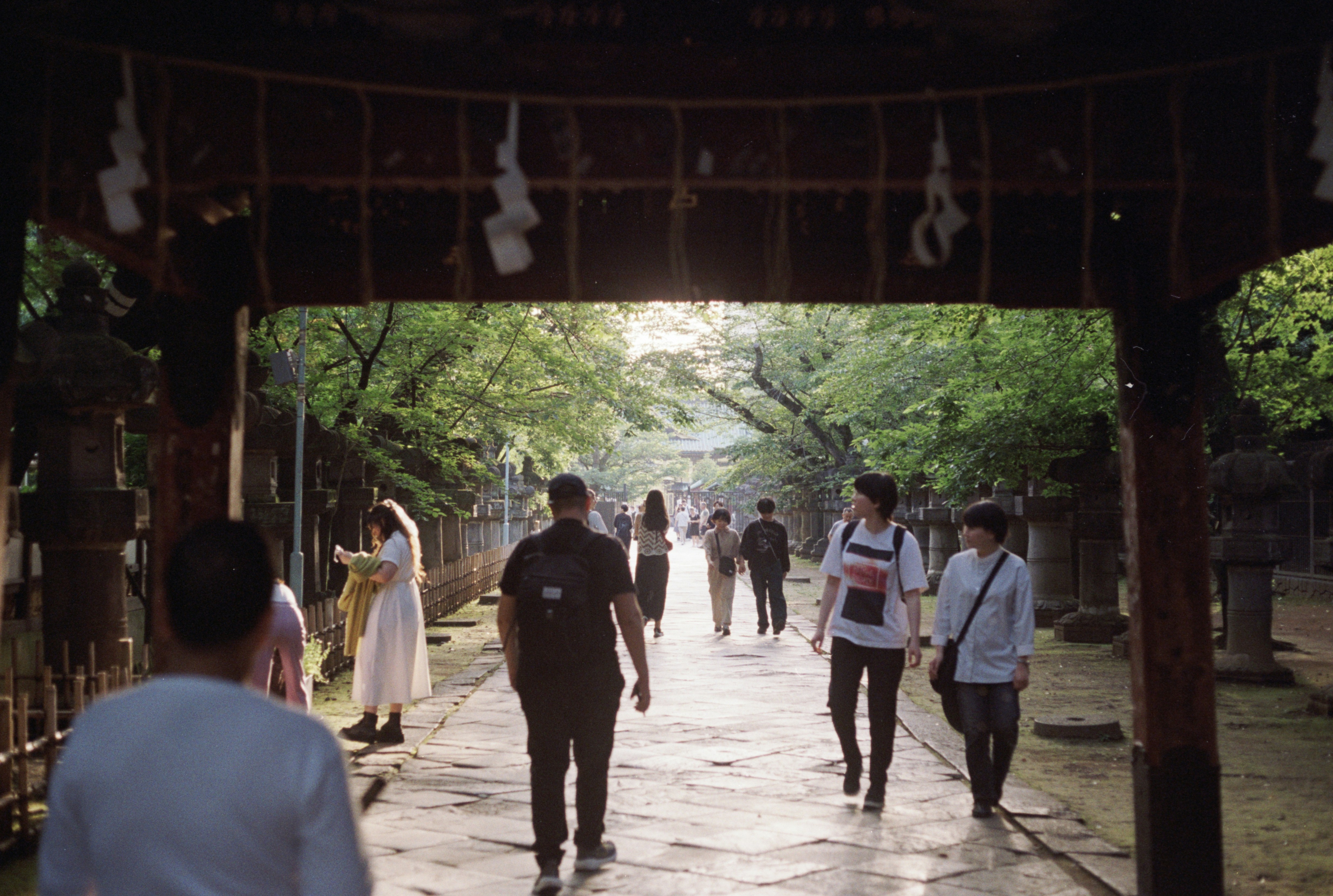 A group of people walking down a walkway