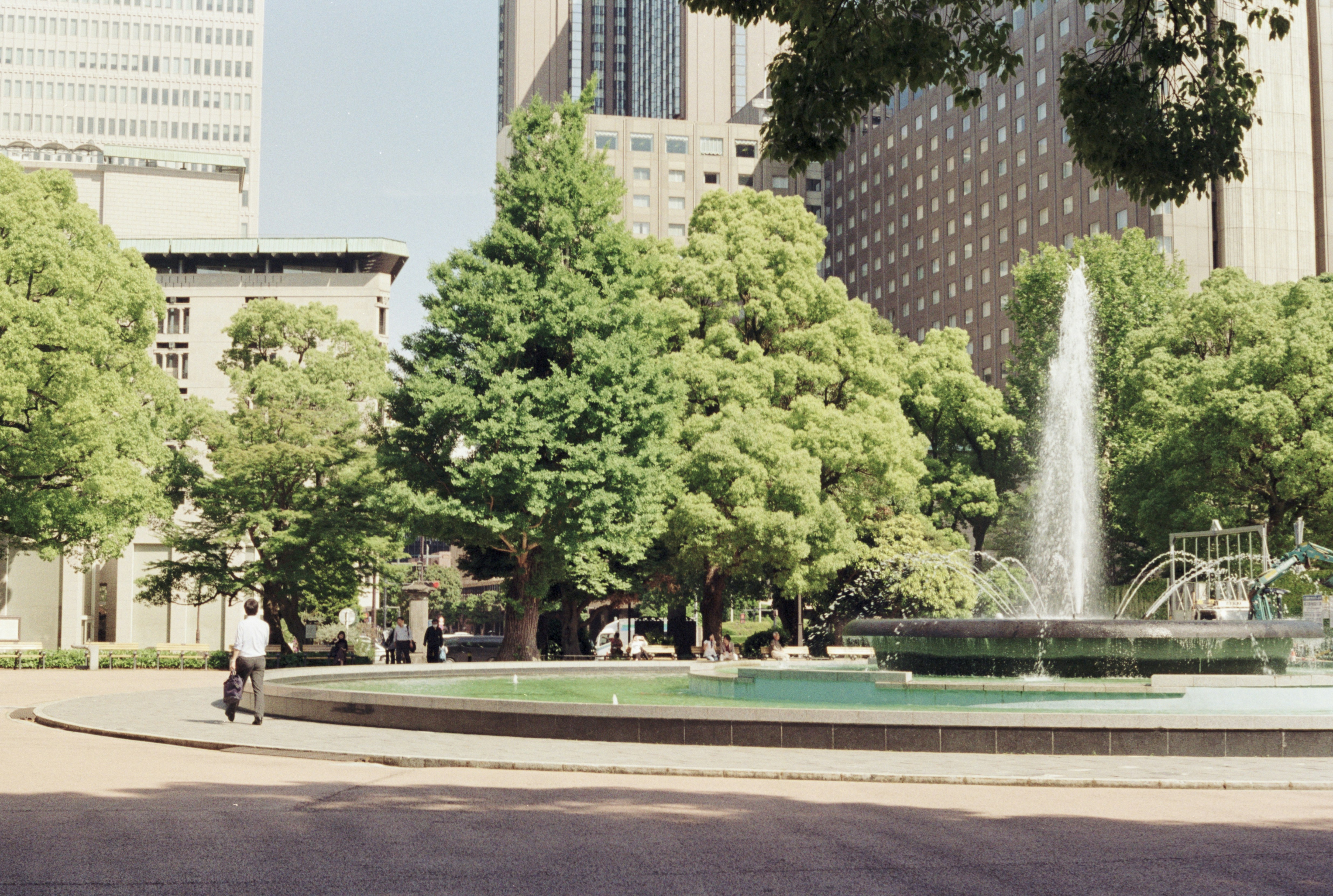 Photo by cloudsarejoy