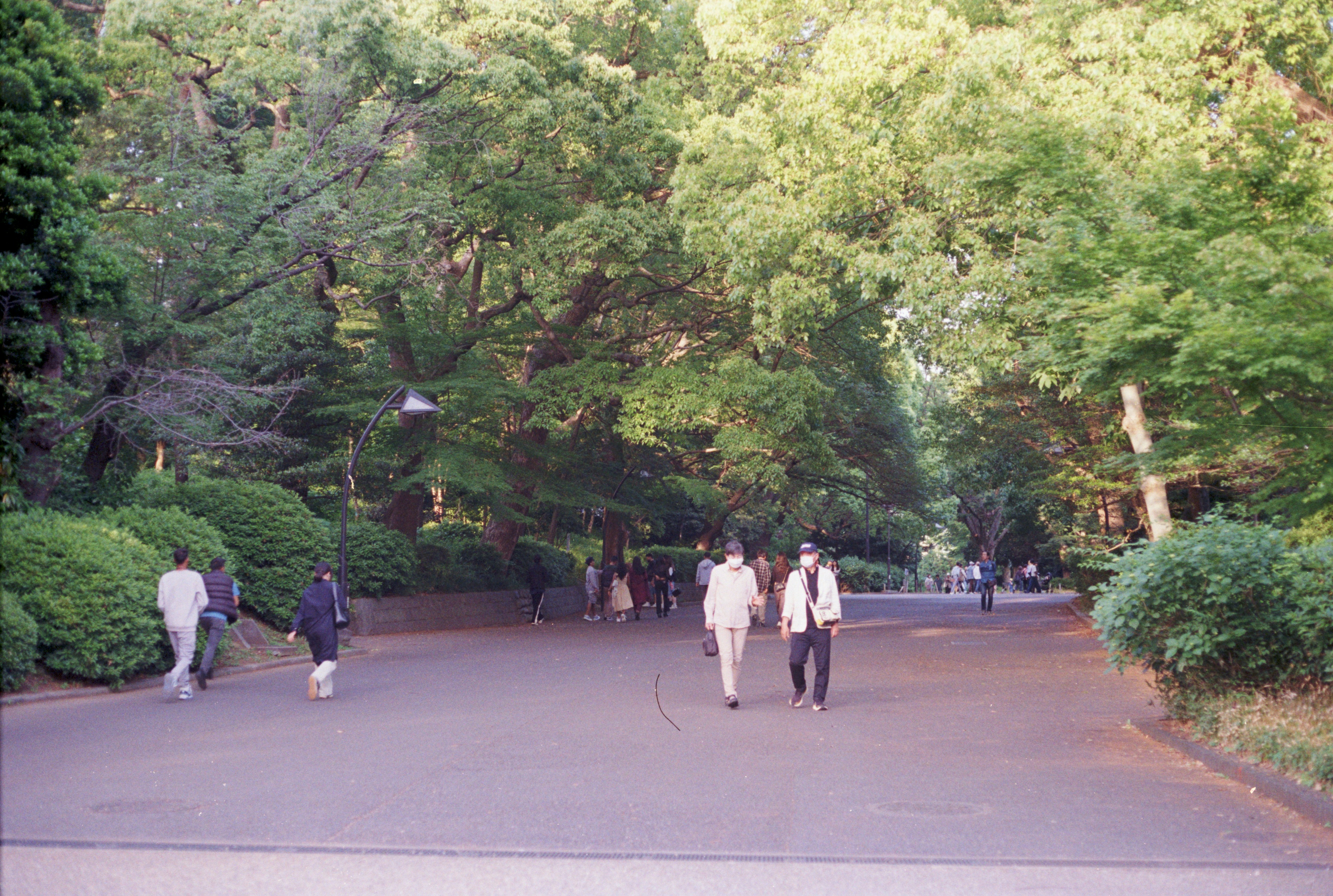 Photo by cloudsarejoy