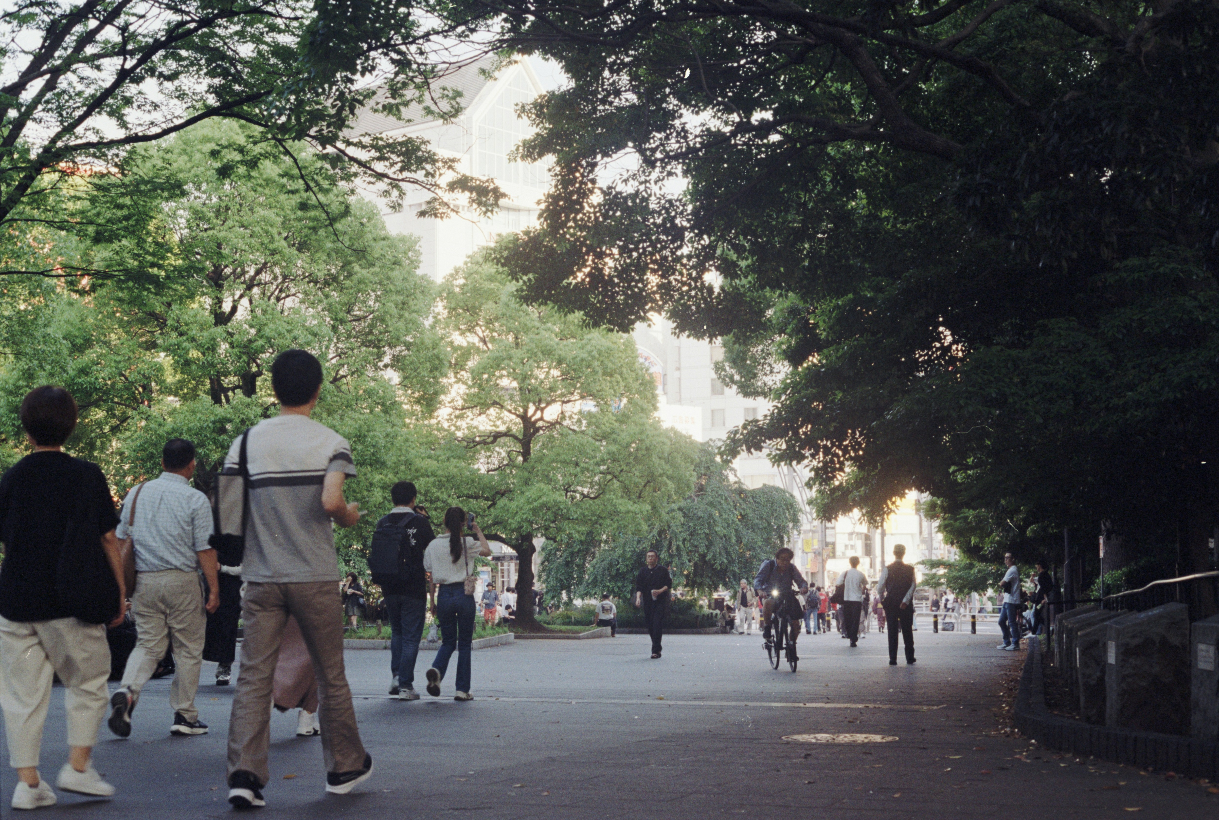 Photo by cloudsarejoy