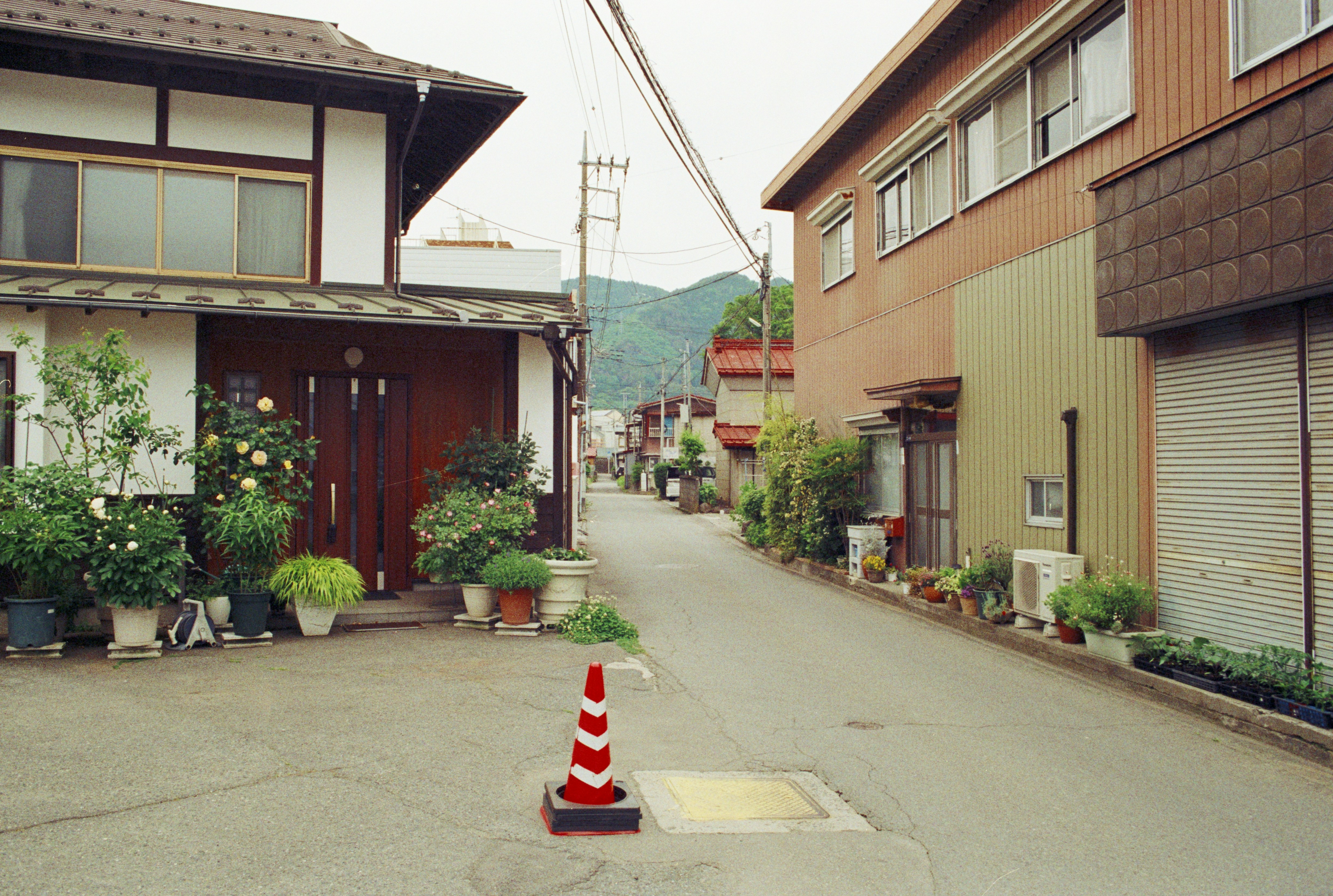 Photo by cloudsarejoy