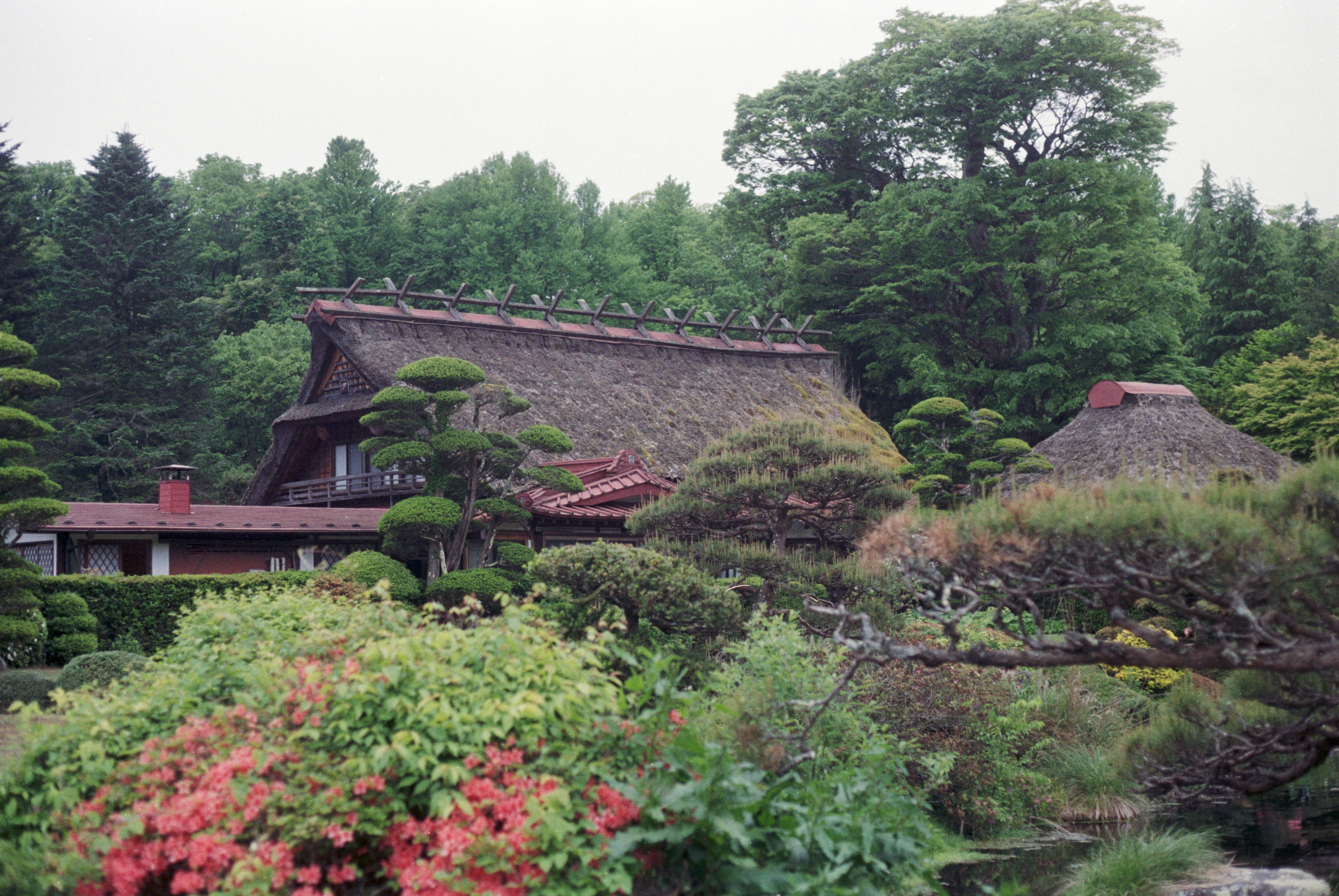 Photo by cloudsarejoy