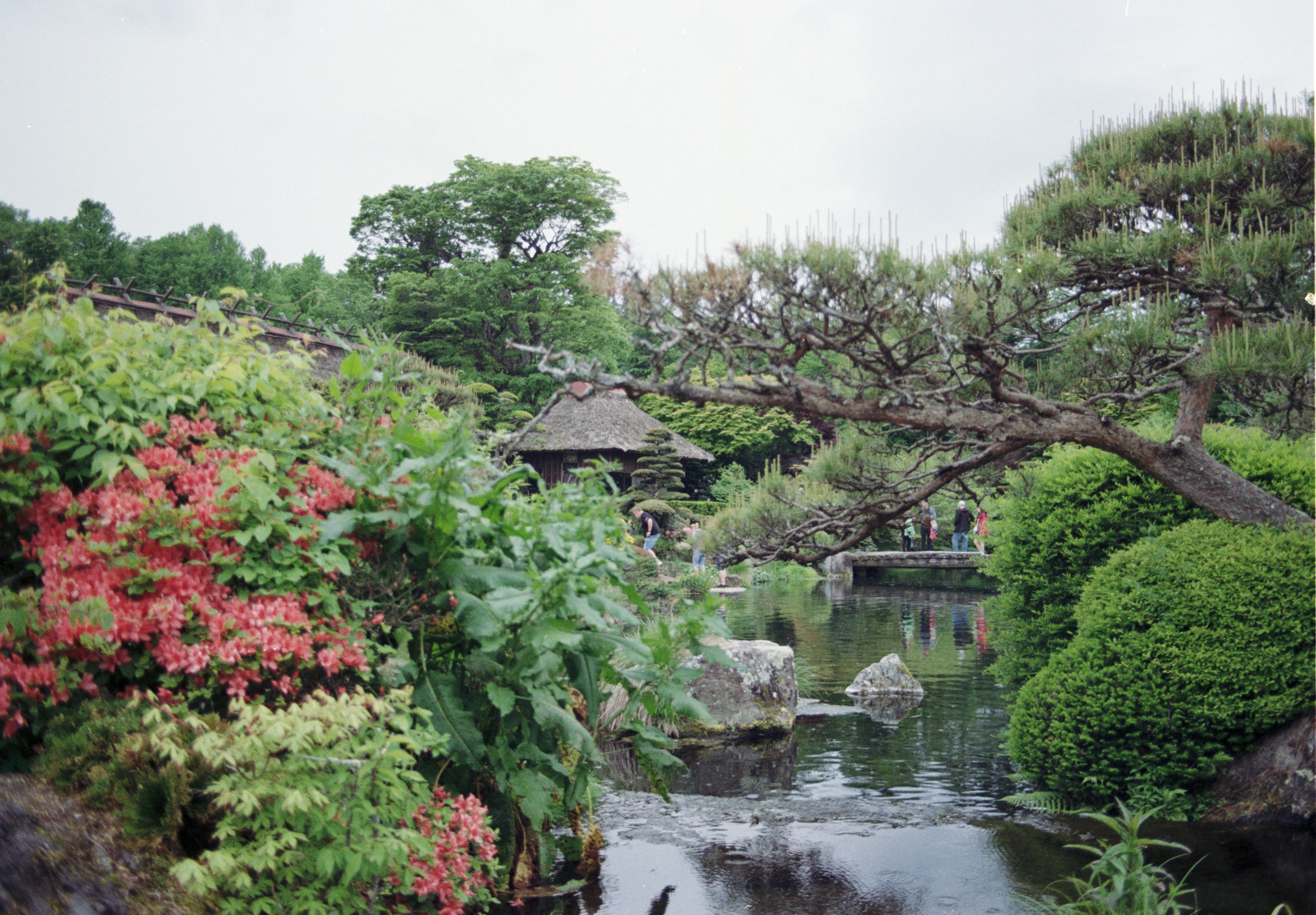 Photo by cloudsarejoy