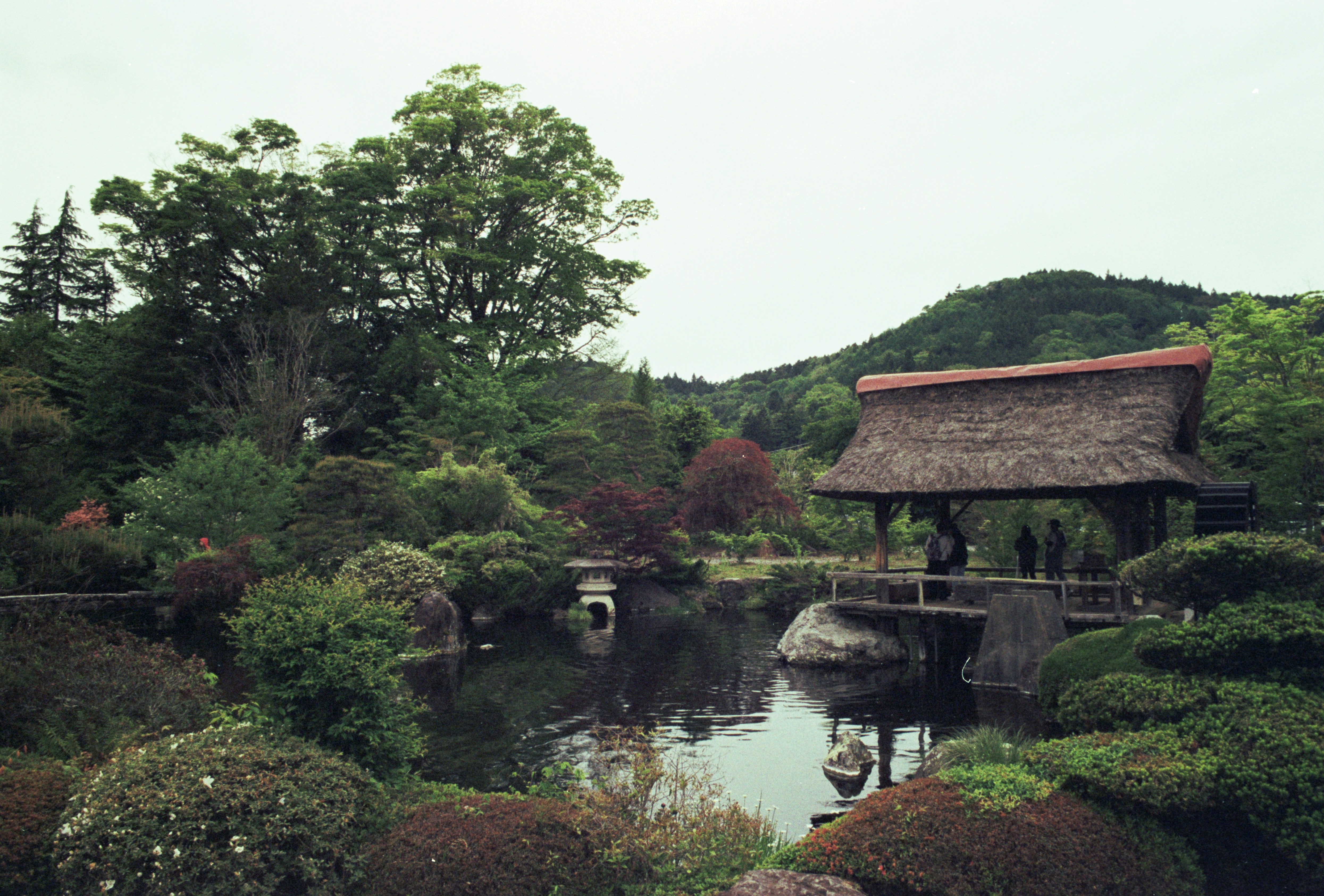 Photo by cloudsarejoy