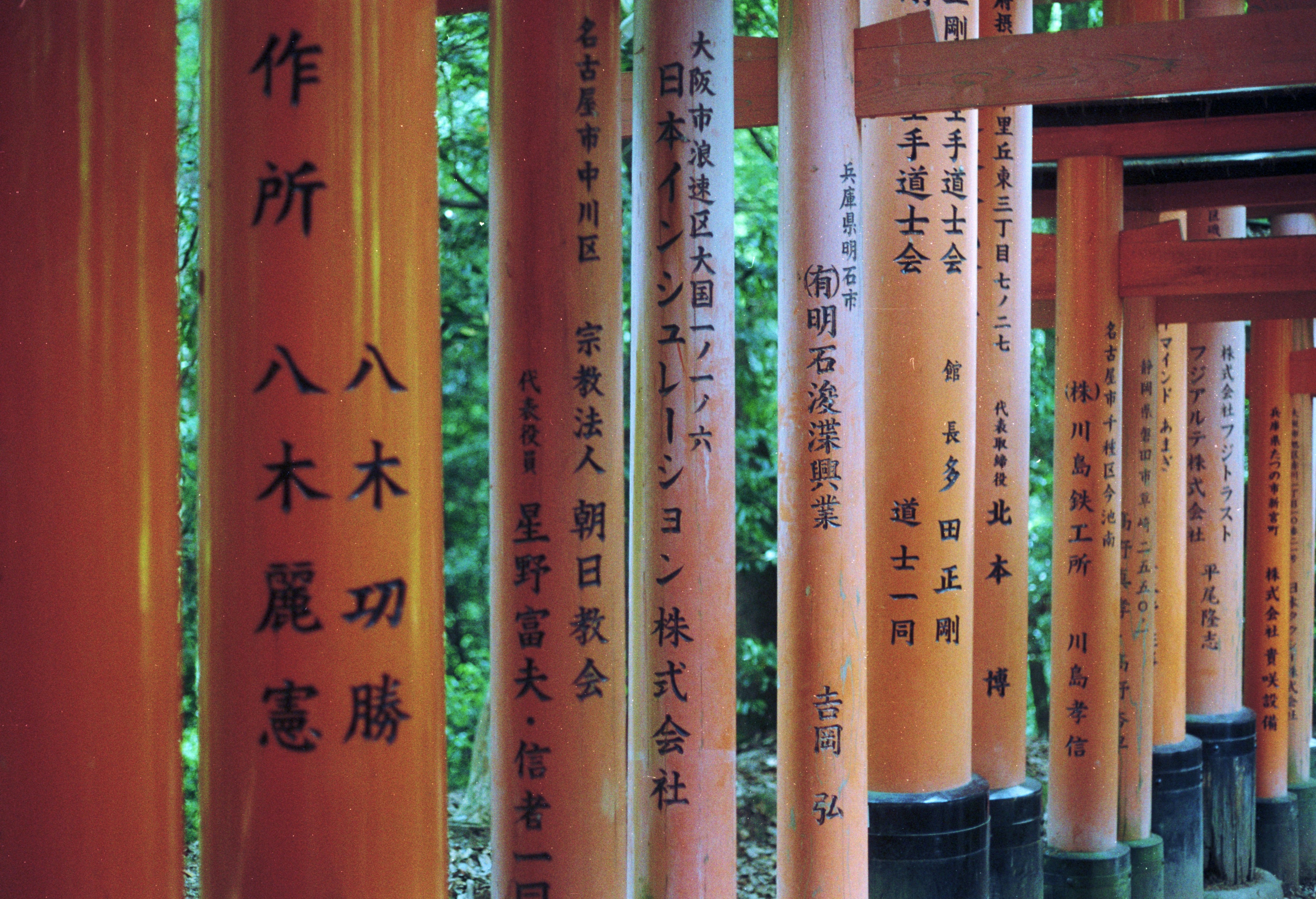 Photo by cloudsarejoy