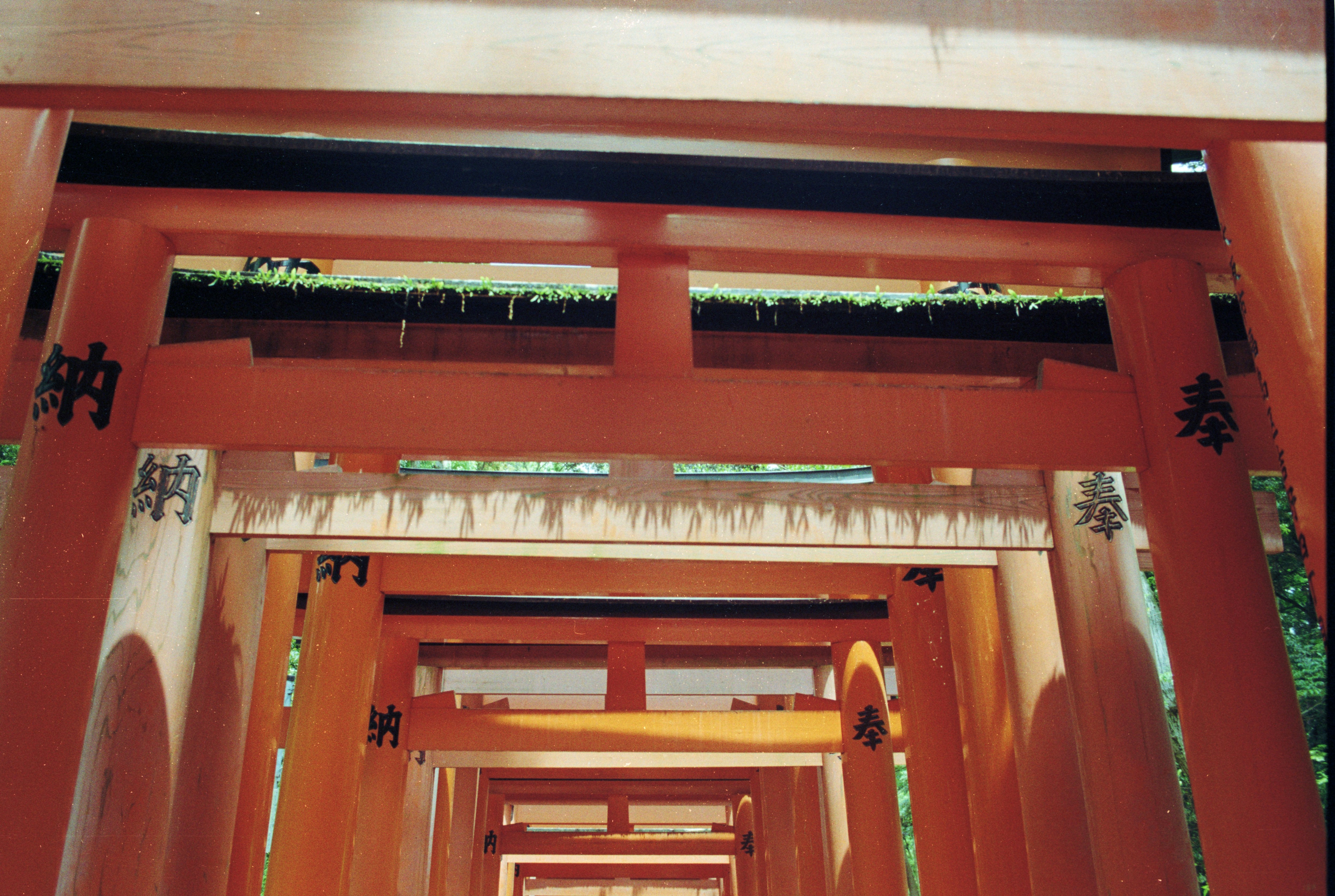 Photo by cloudsarejoy