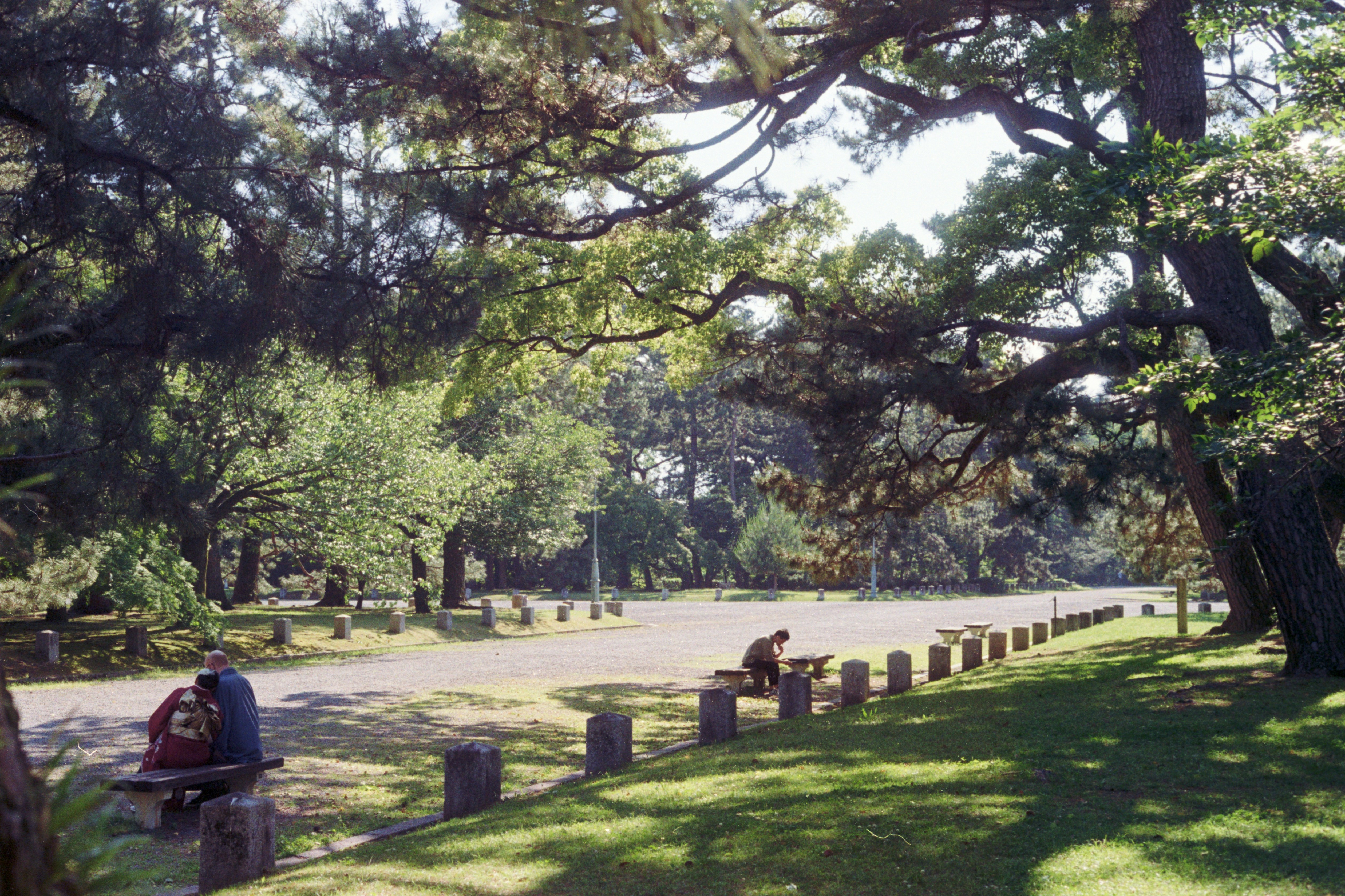 A man sitting on a bench in a park