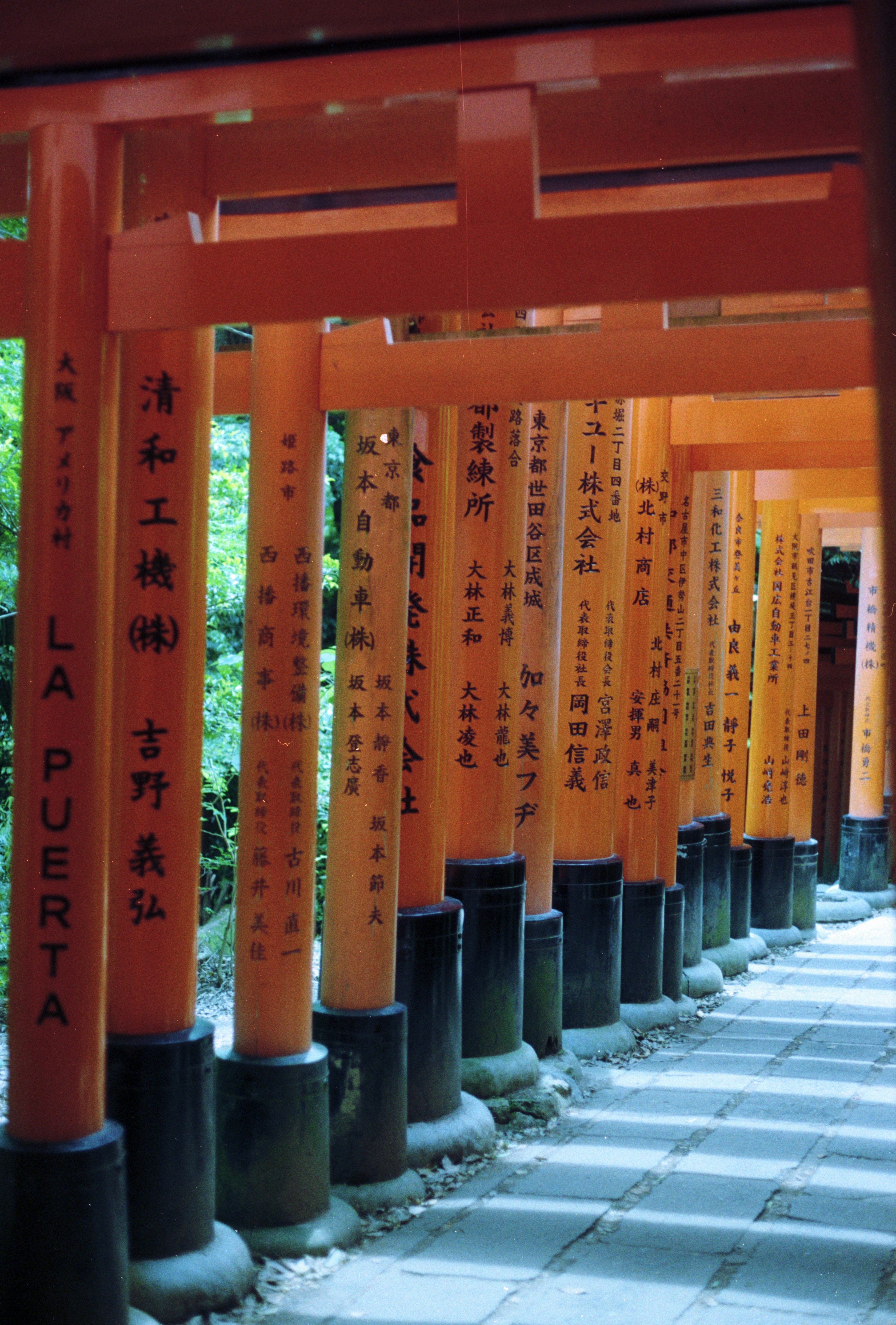 Photo by cloudsarejoy