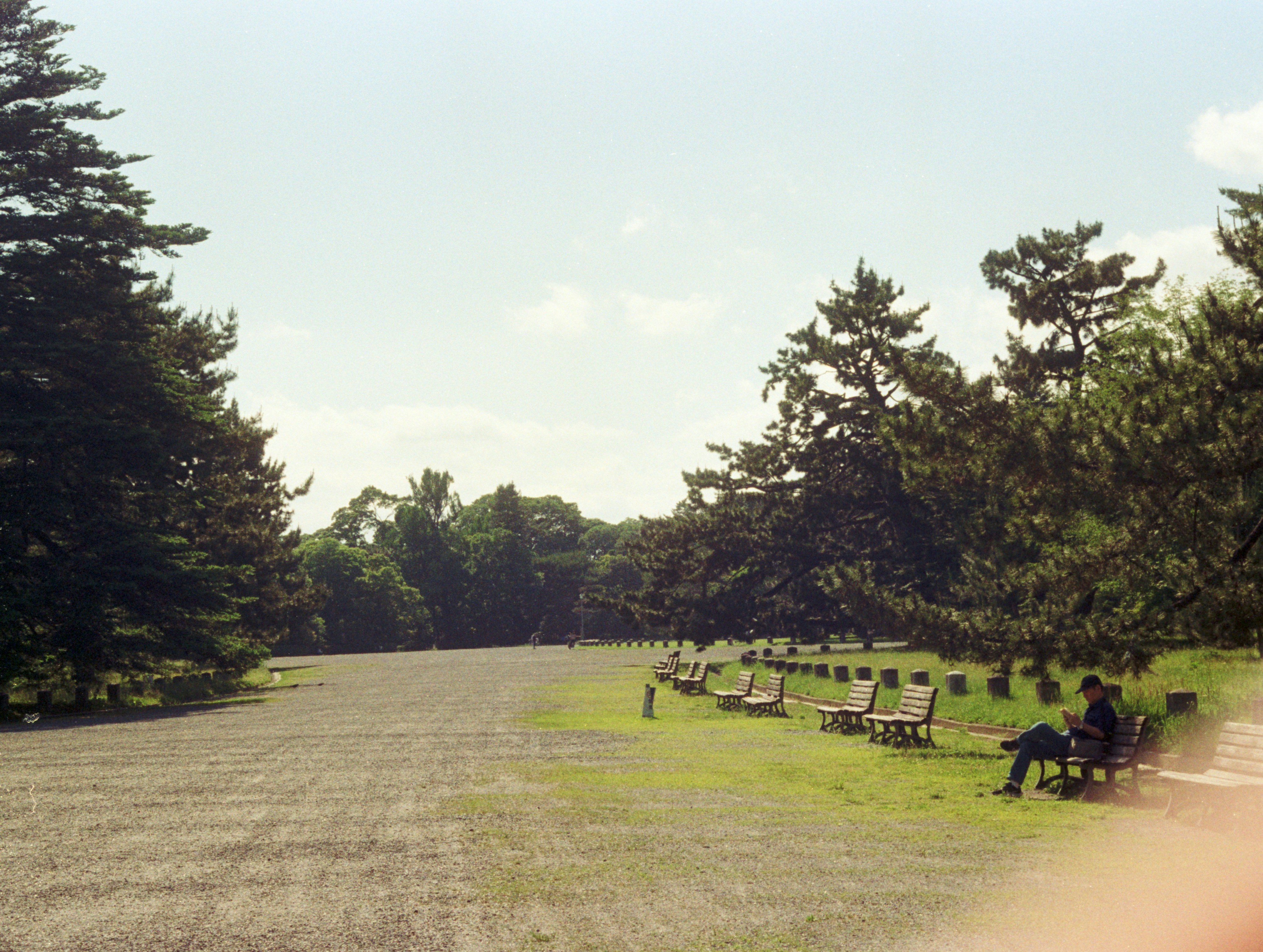 A person sitting on a bench in a park