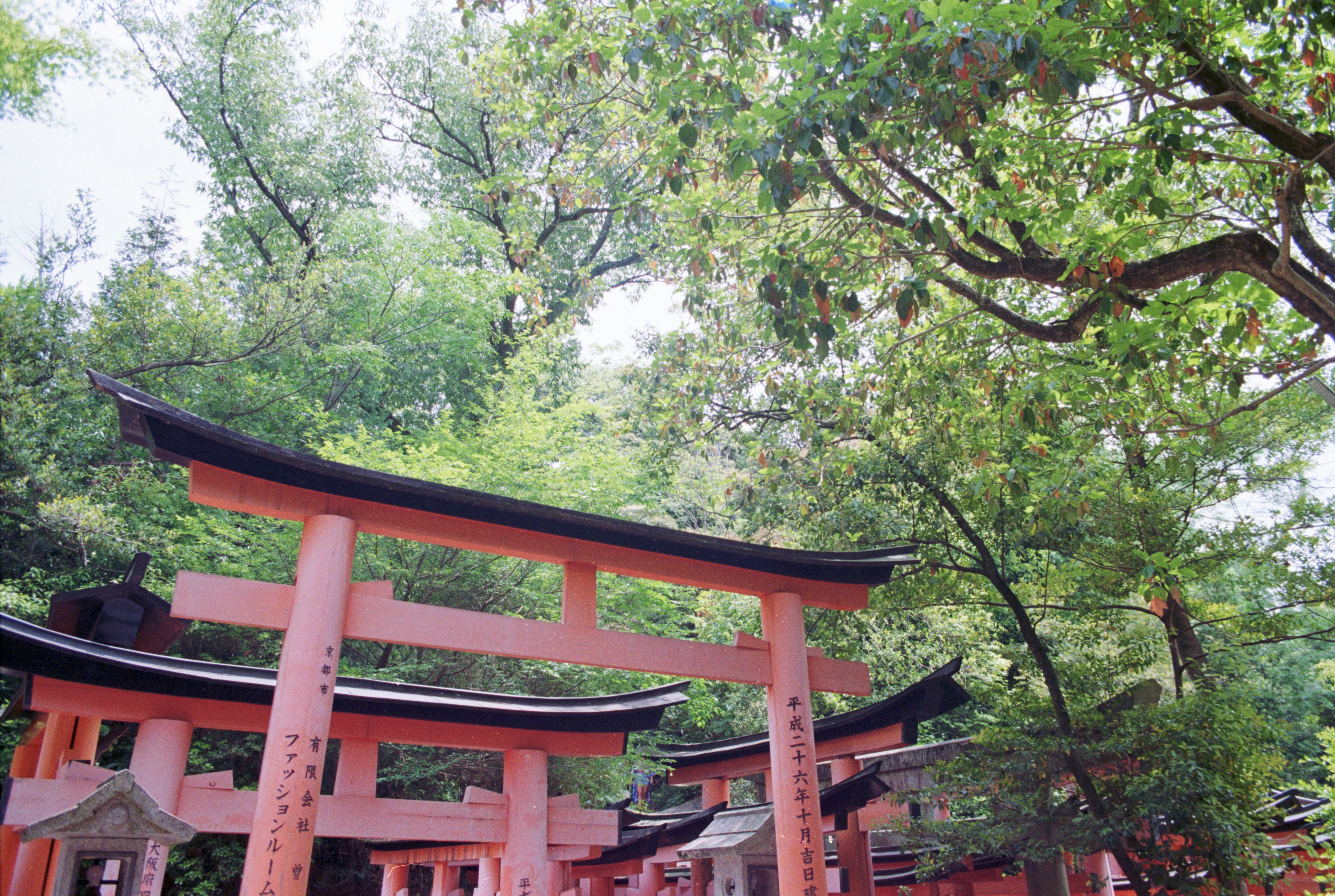 Photo by cloudsarejoy