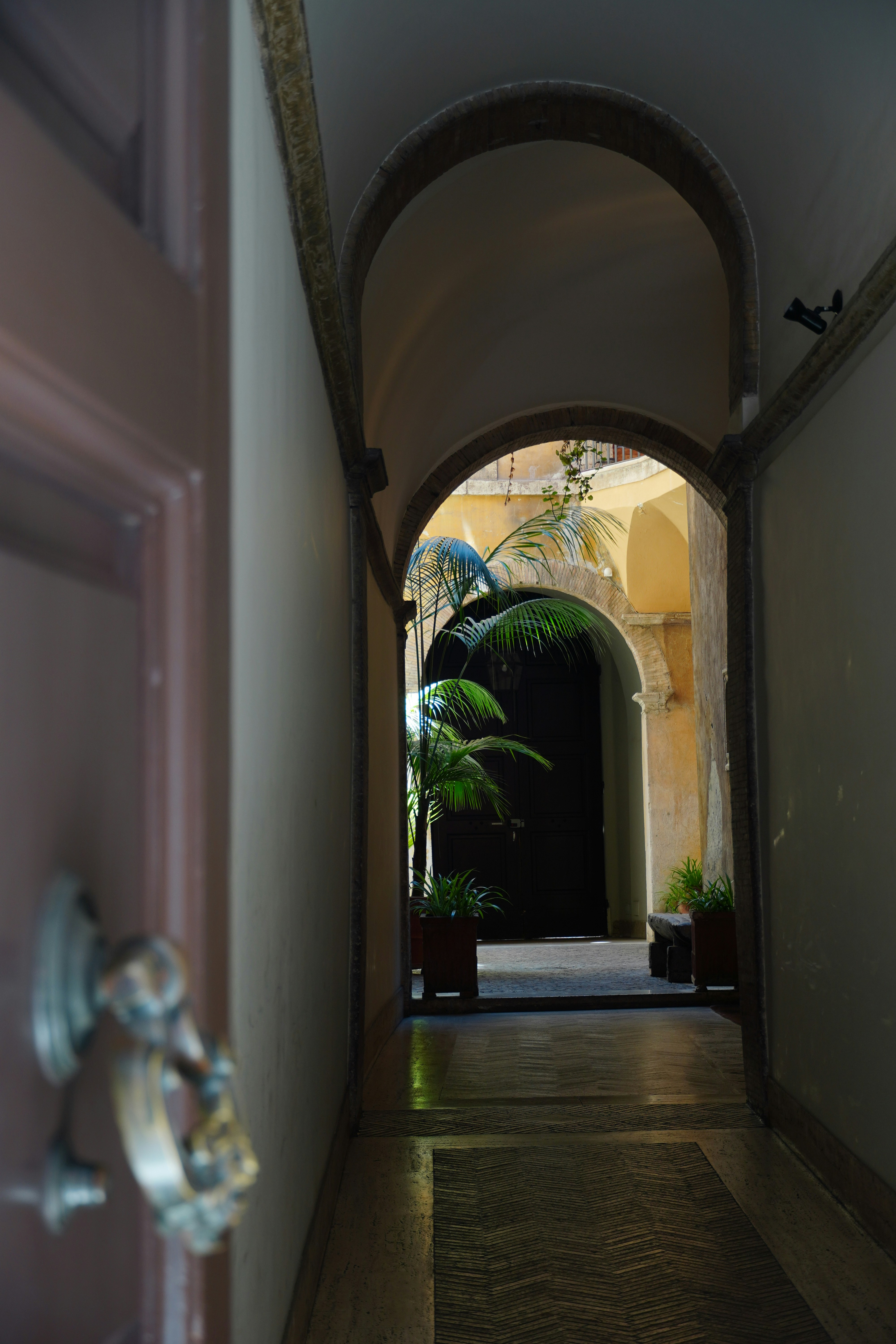 Photo by greenliustudio