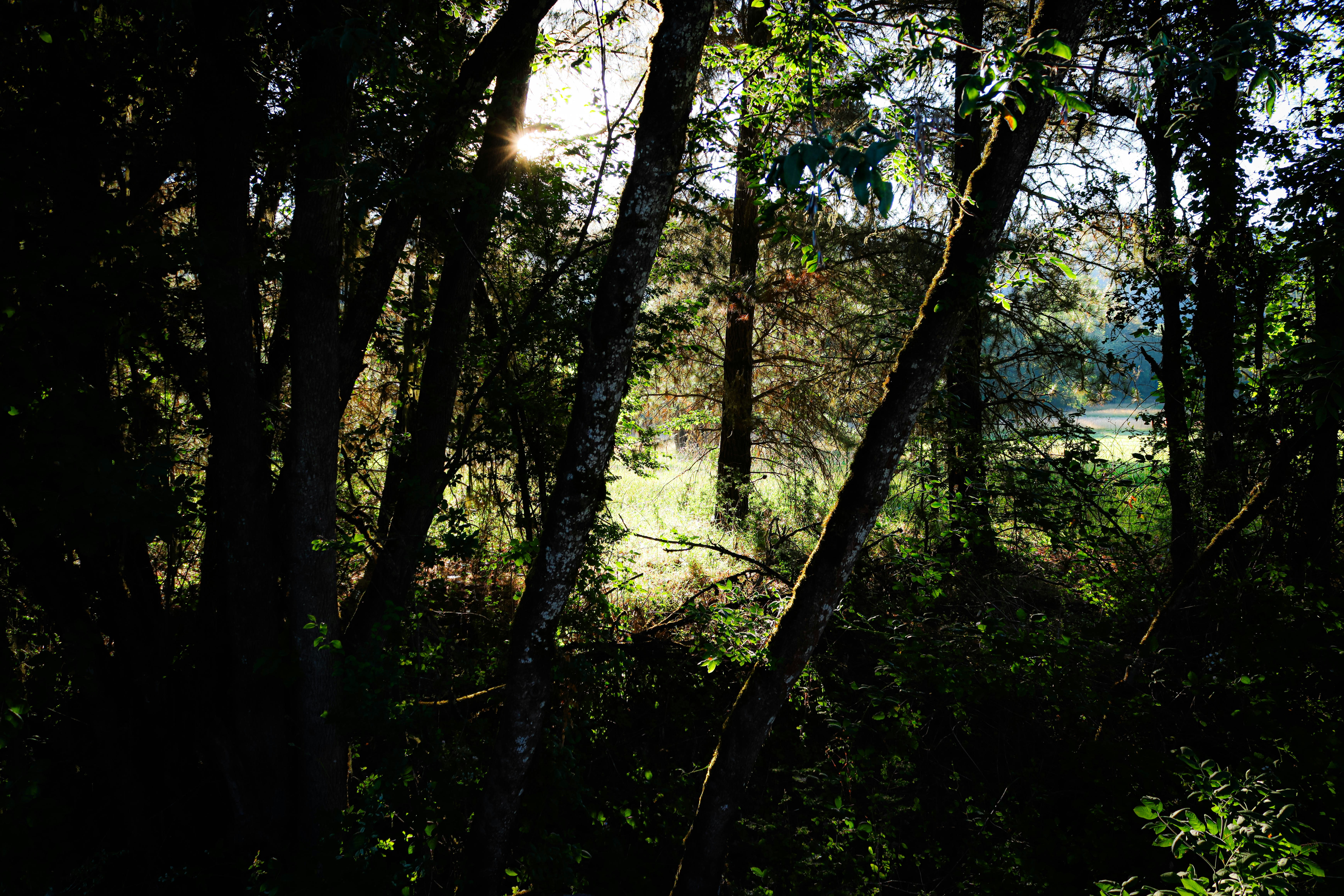 Photo by davidjboozer