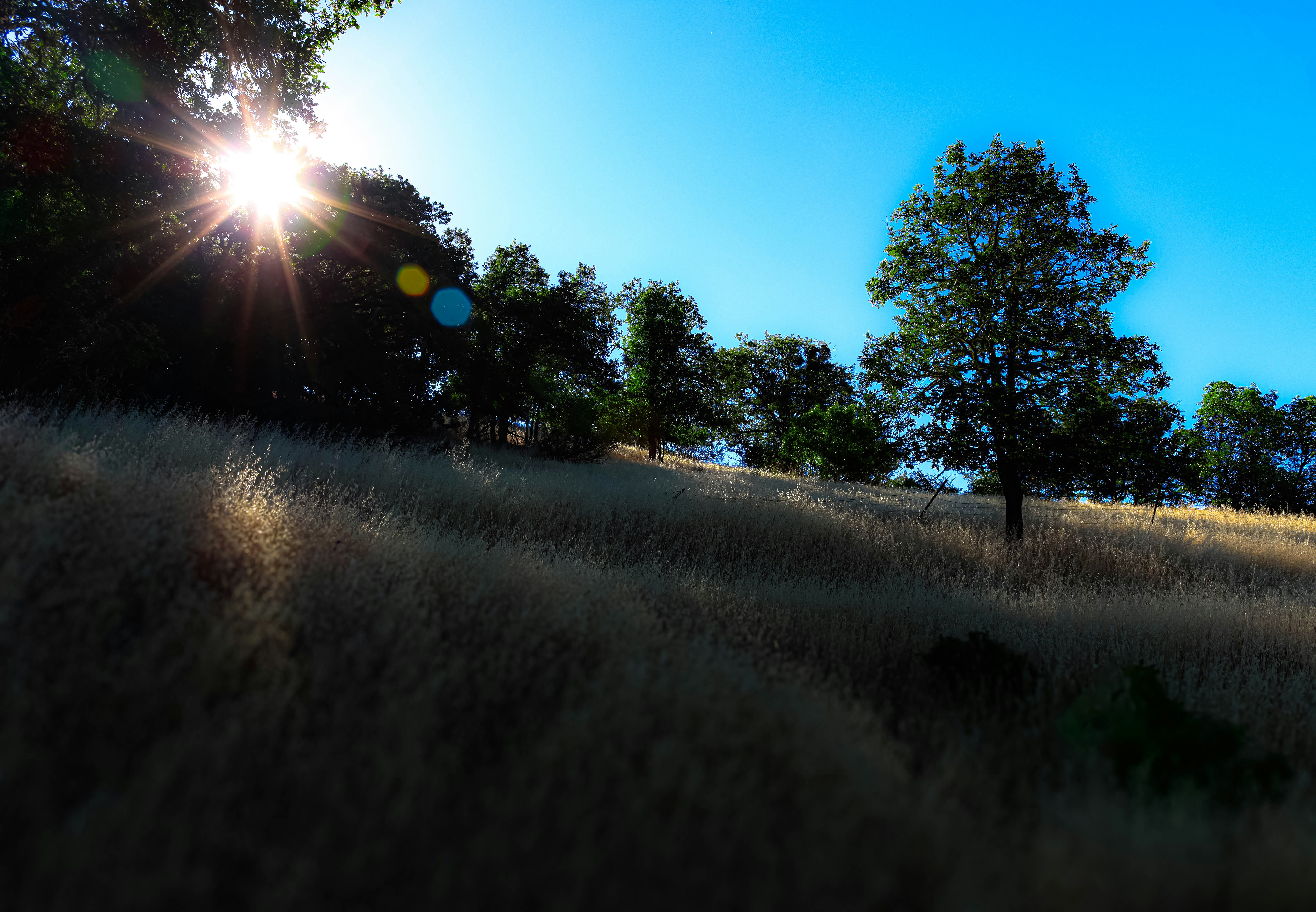 Photo by davidjboozer