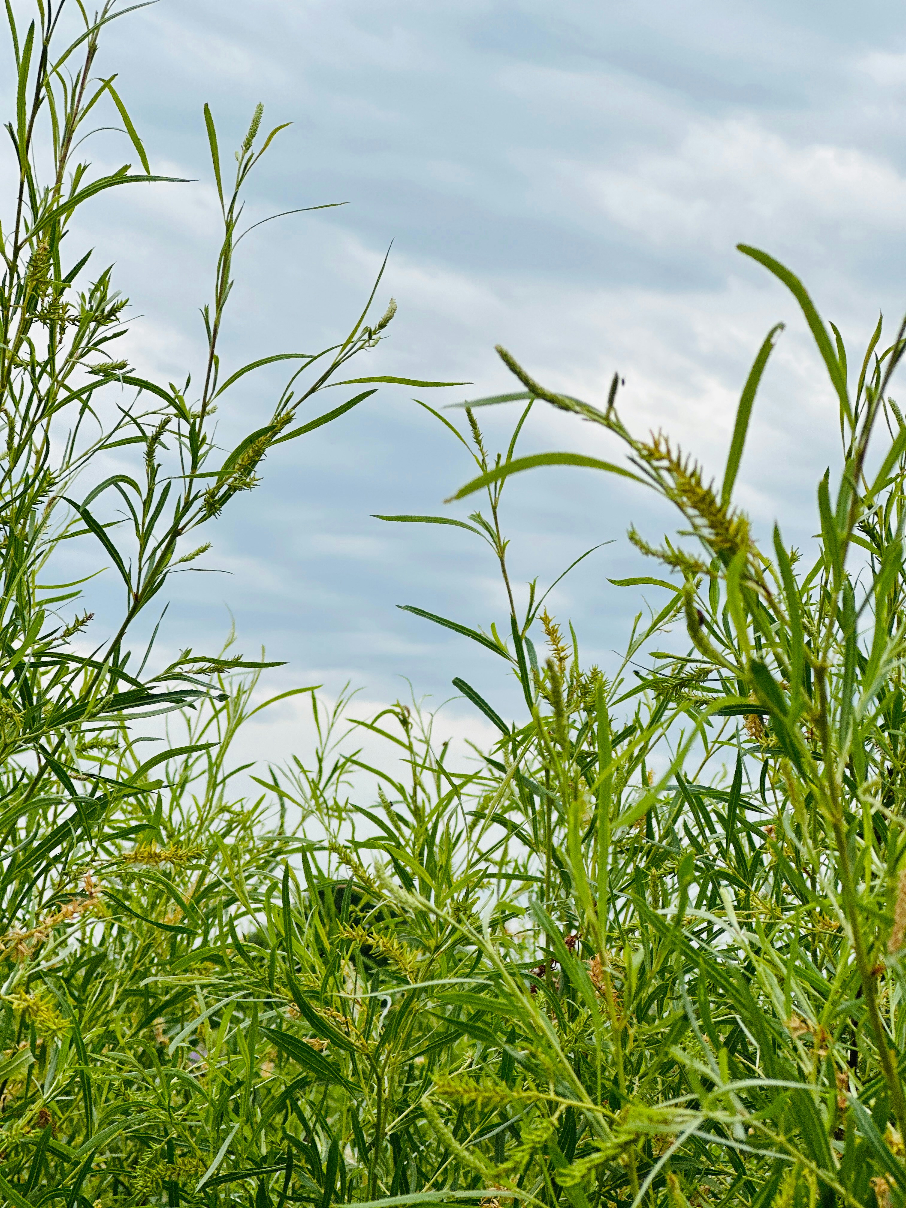 Photo by mdeepkandola