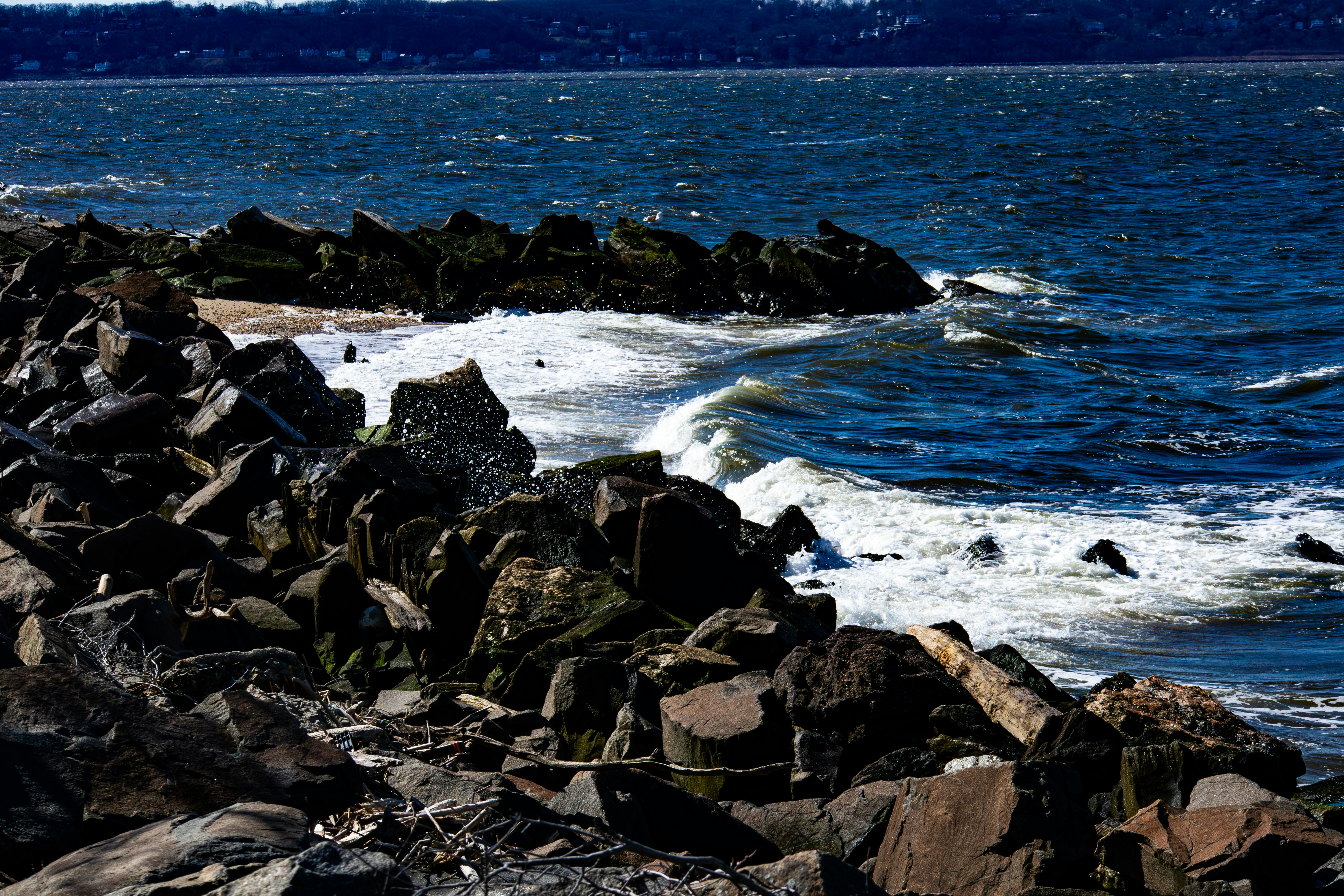 Photo by ucwhphotography