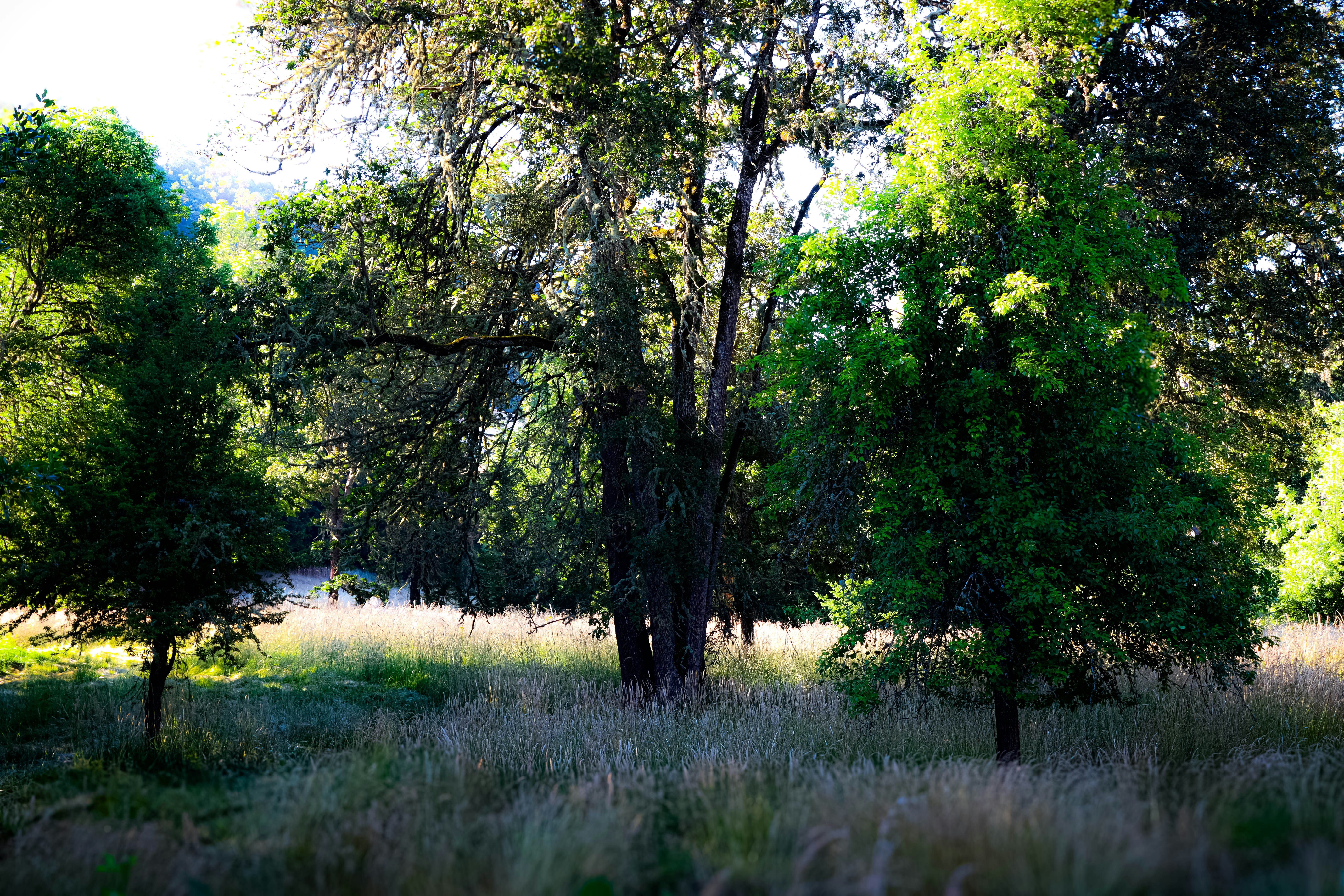 Photo by davidjboozer