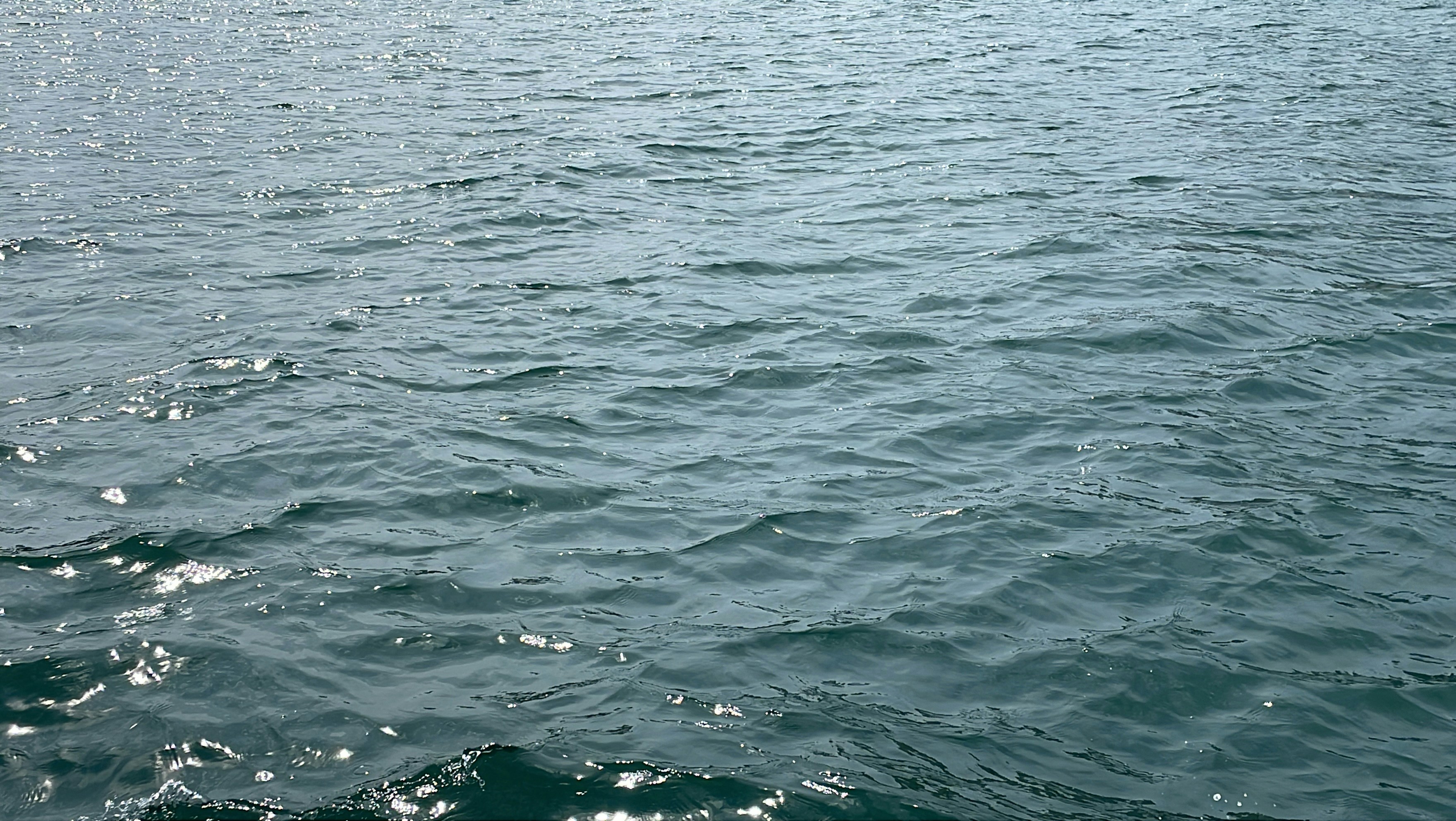 Photo by johnsonzhouz