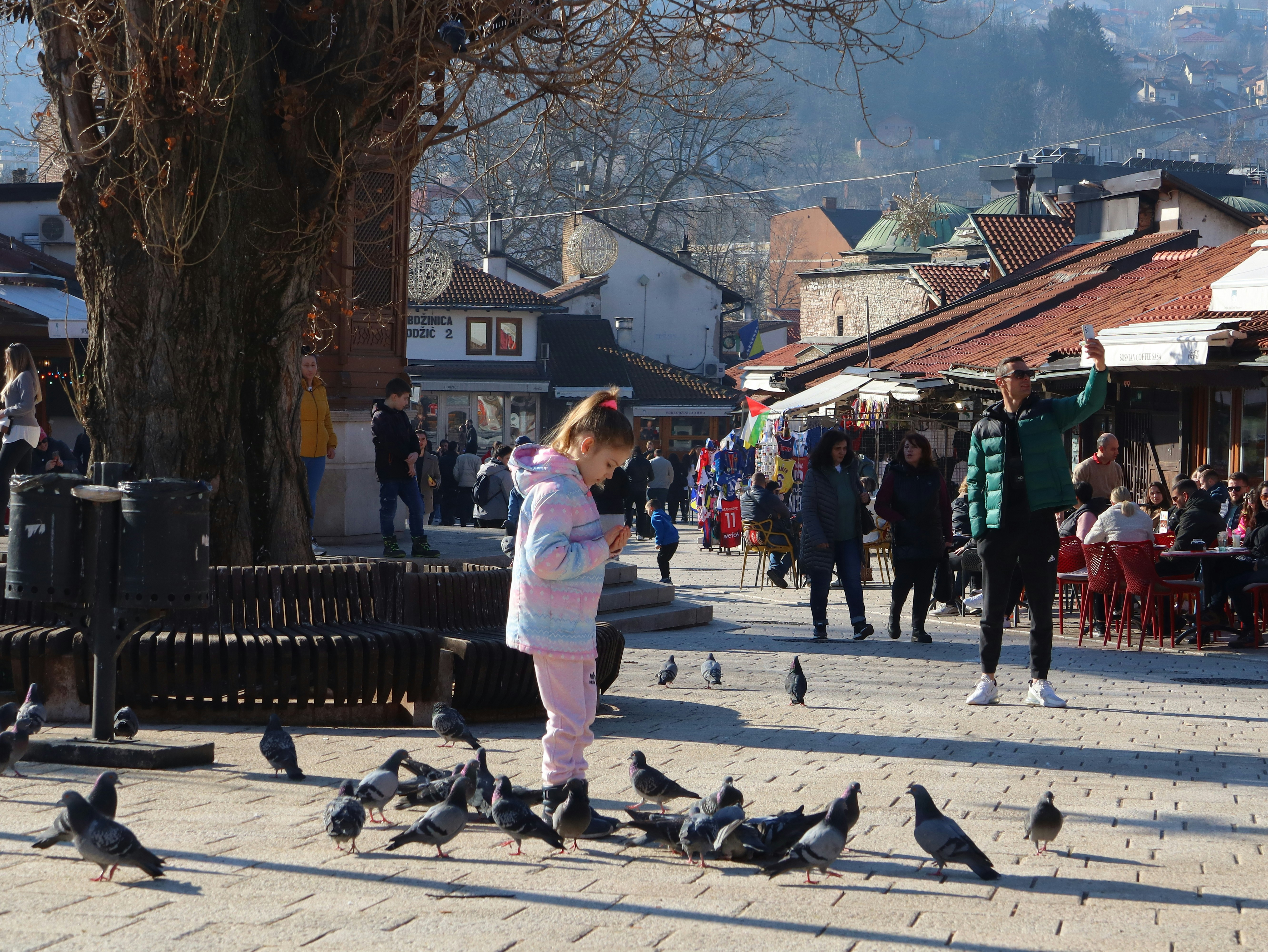 Sarajevo Roses photo 3