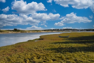A body of water surrounded by a lush green field