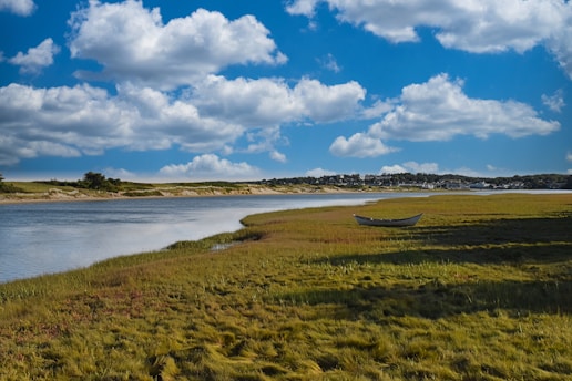 A body of water surrounded by a lush green field